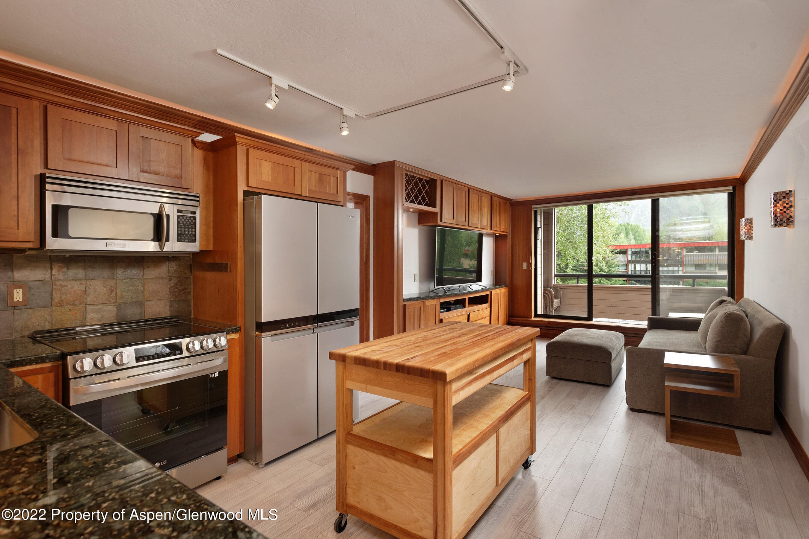 335 Vine Street 335, Aspen, CO 81611 - Photo 6