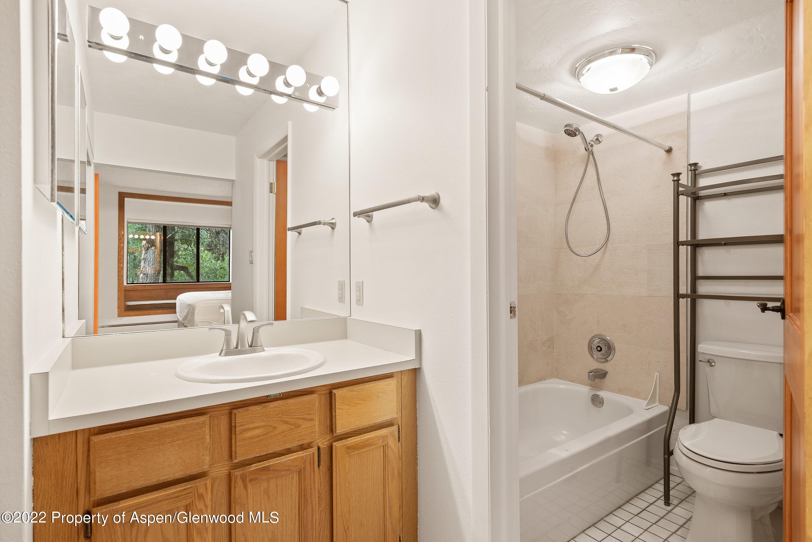 335 Vine Street 335, Aspen, CO 81611 - Photo 14