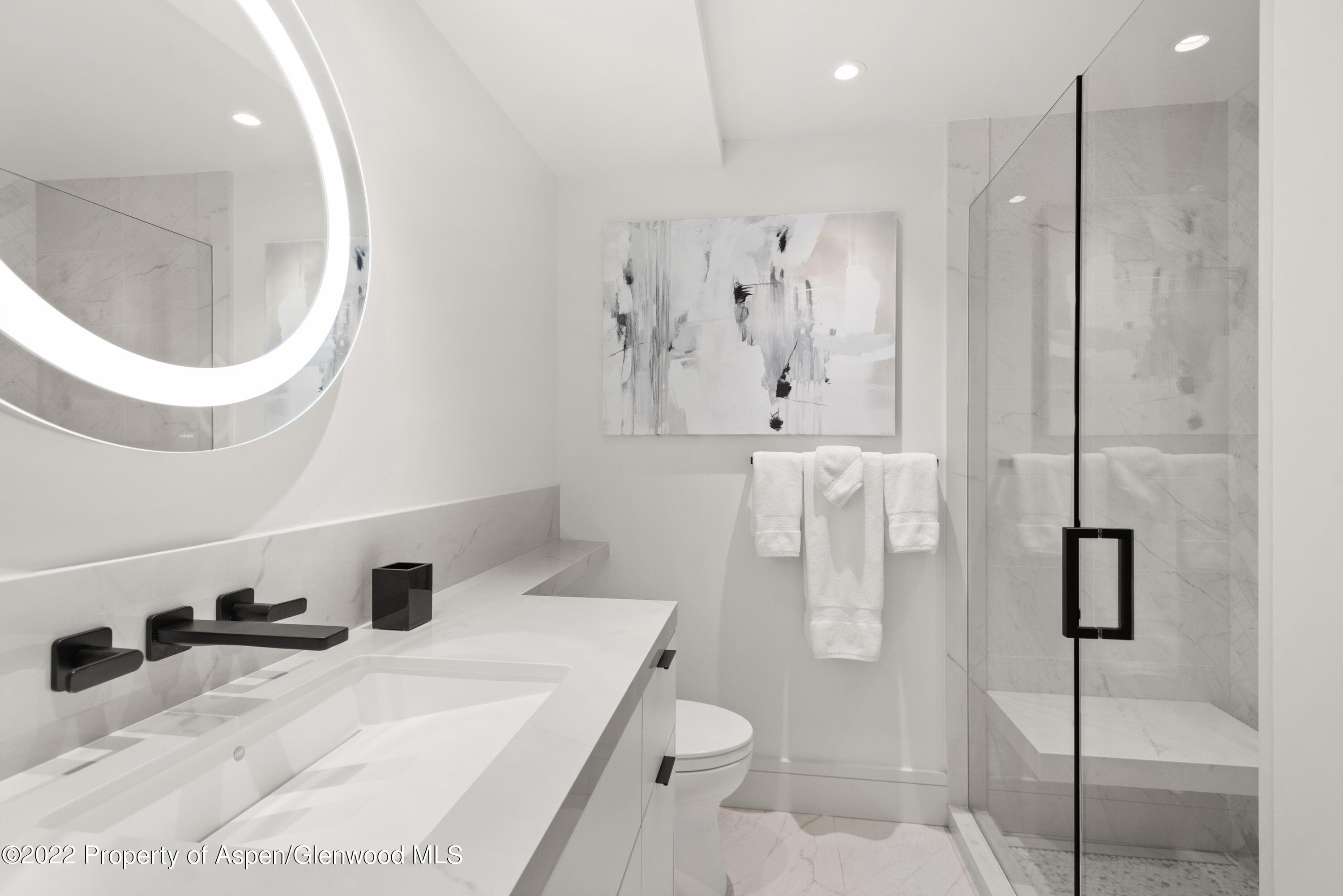 600 E Main Street 307, Aspen, CO 81611 - Photo 9