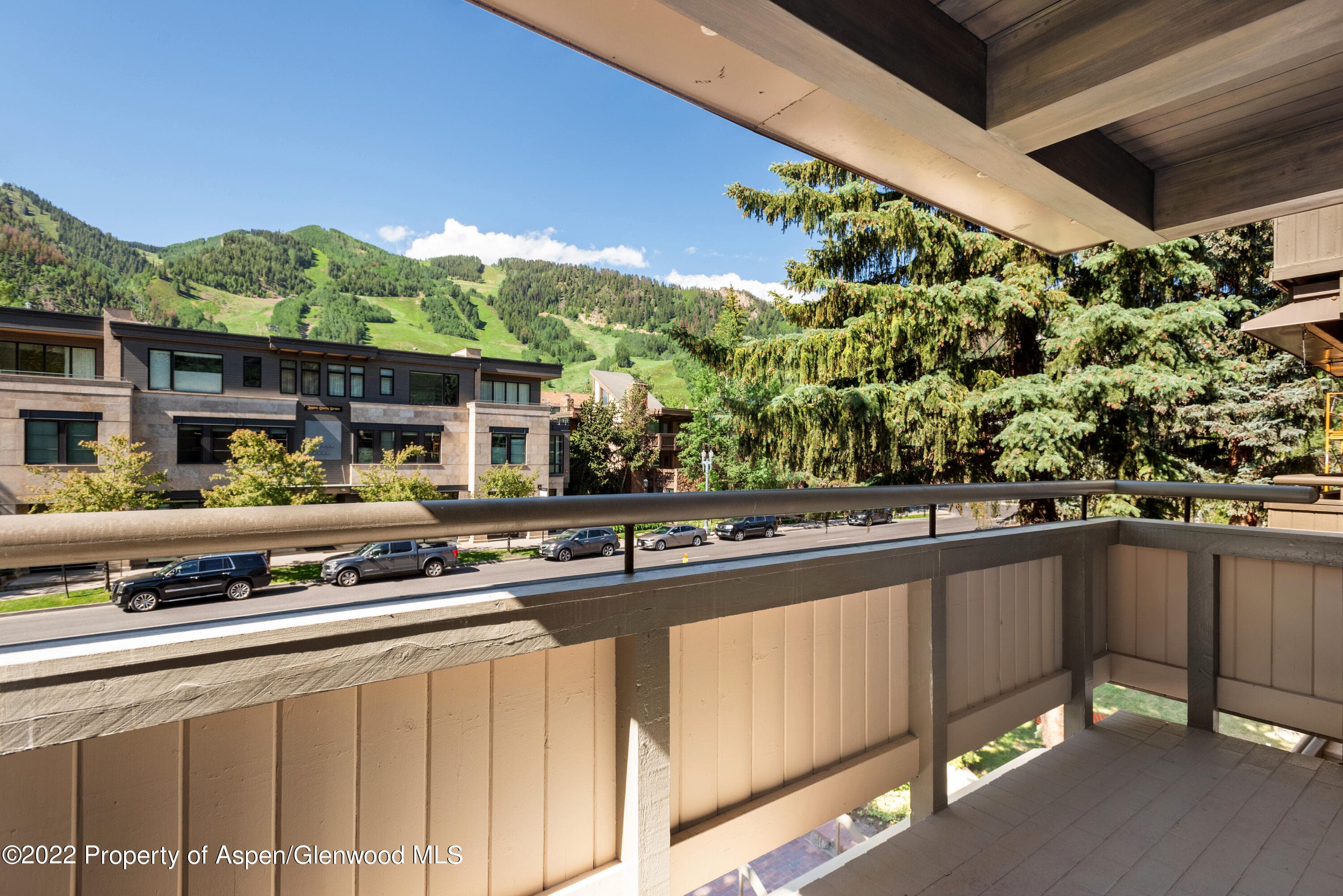 600 E Main Street 307, Aspen, CO 81611 - Photo 10