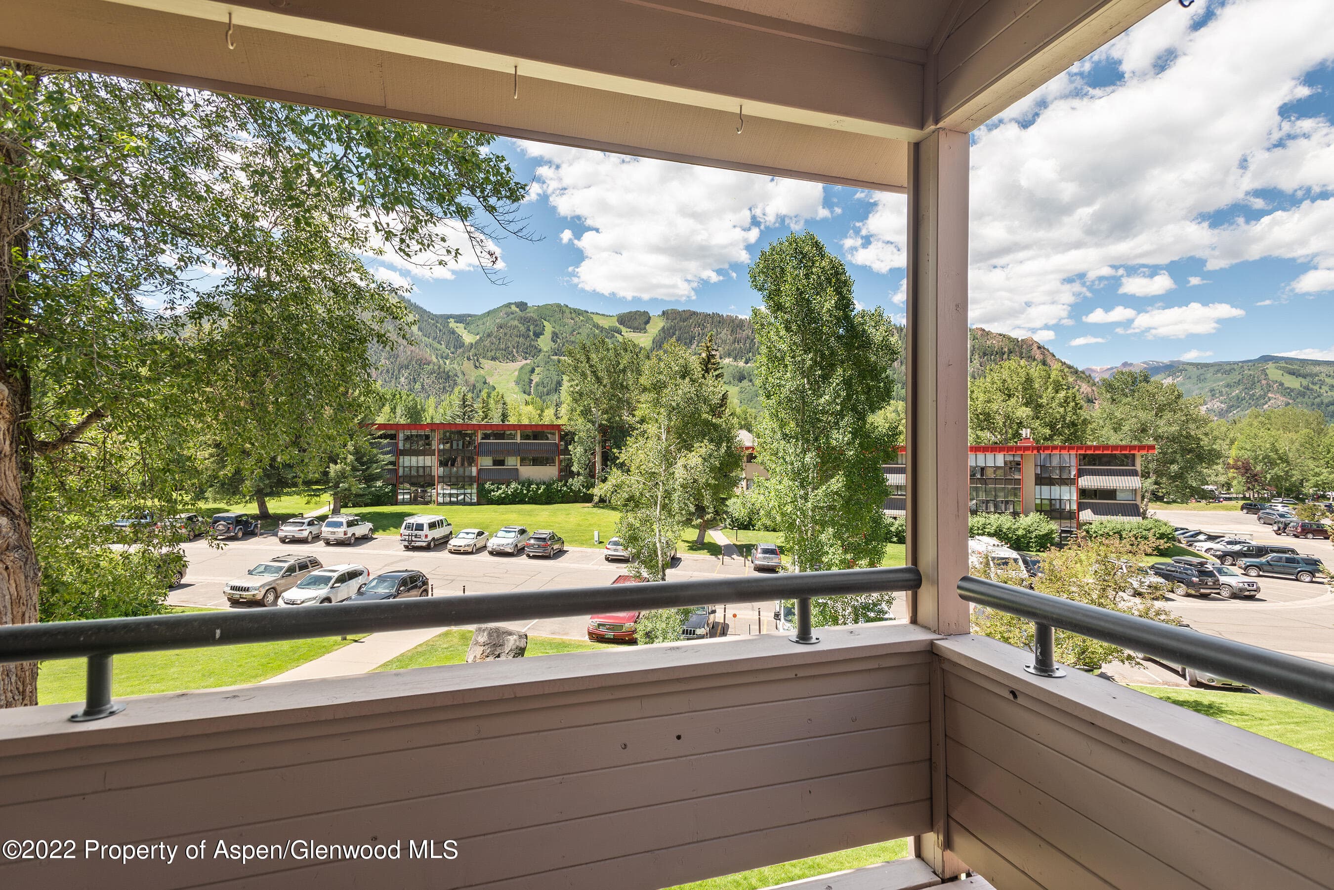 335 Vine Street 335, Aspen, CO 81611 - Photo 19