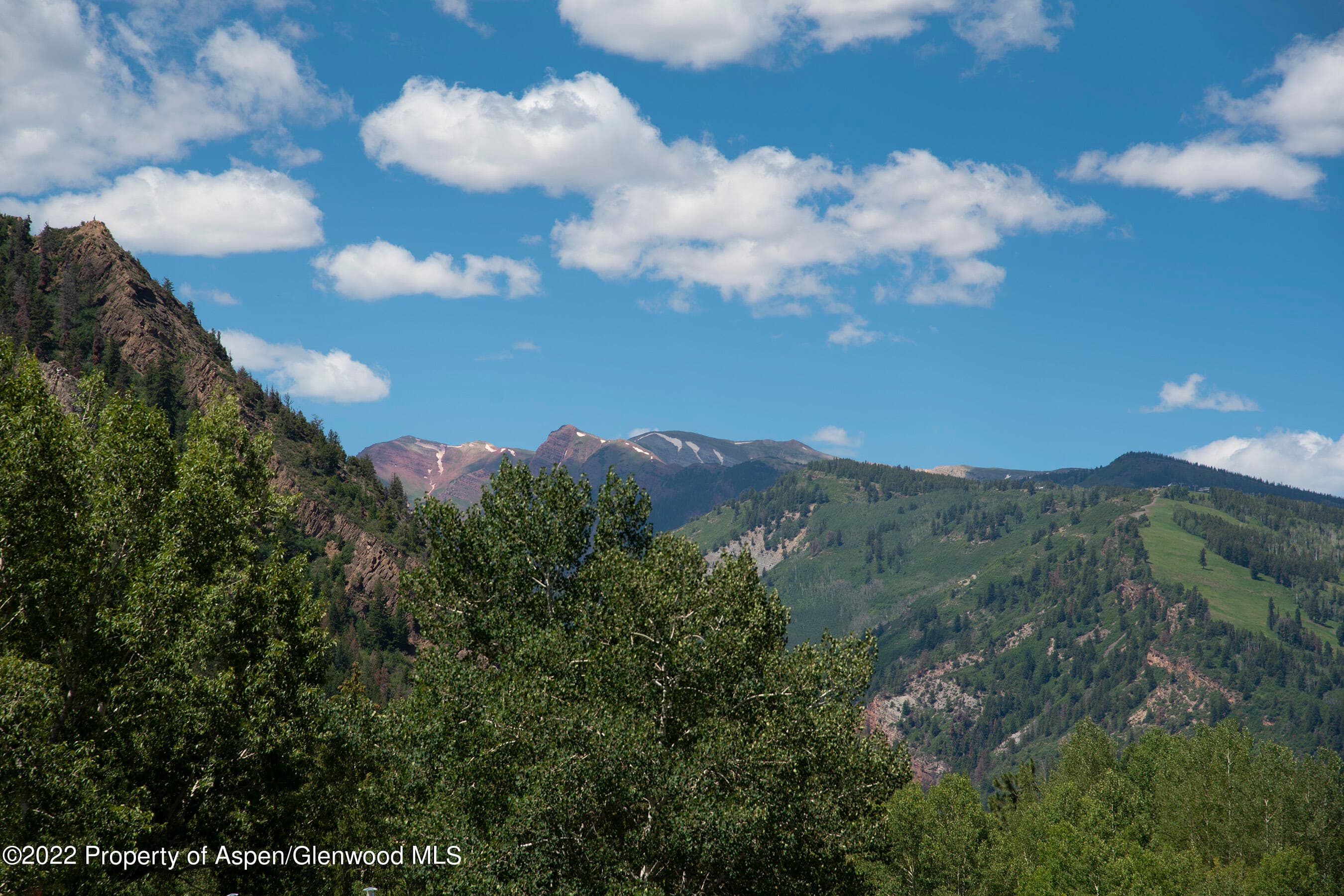 335 Vine Street 335, Aspen, CO 81611 - Photo 22