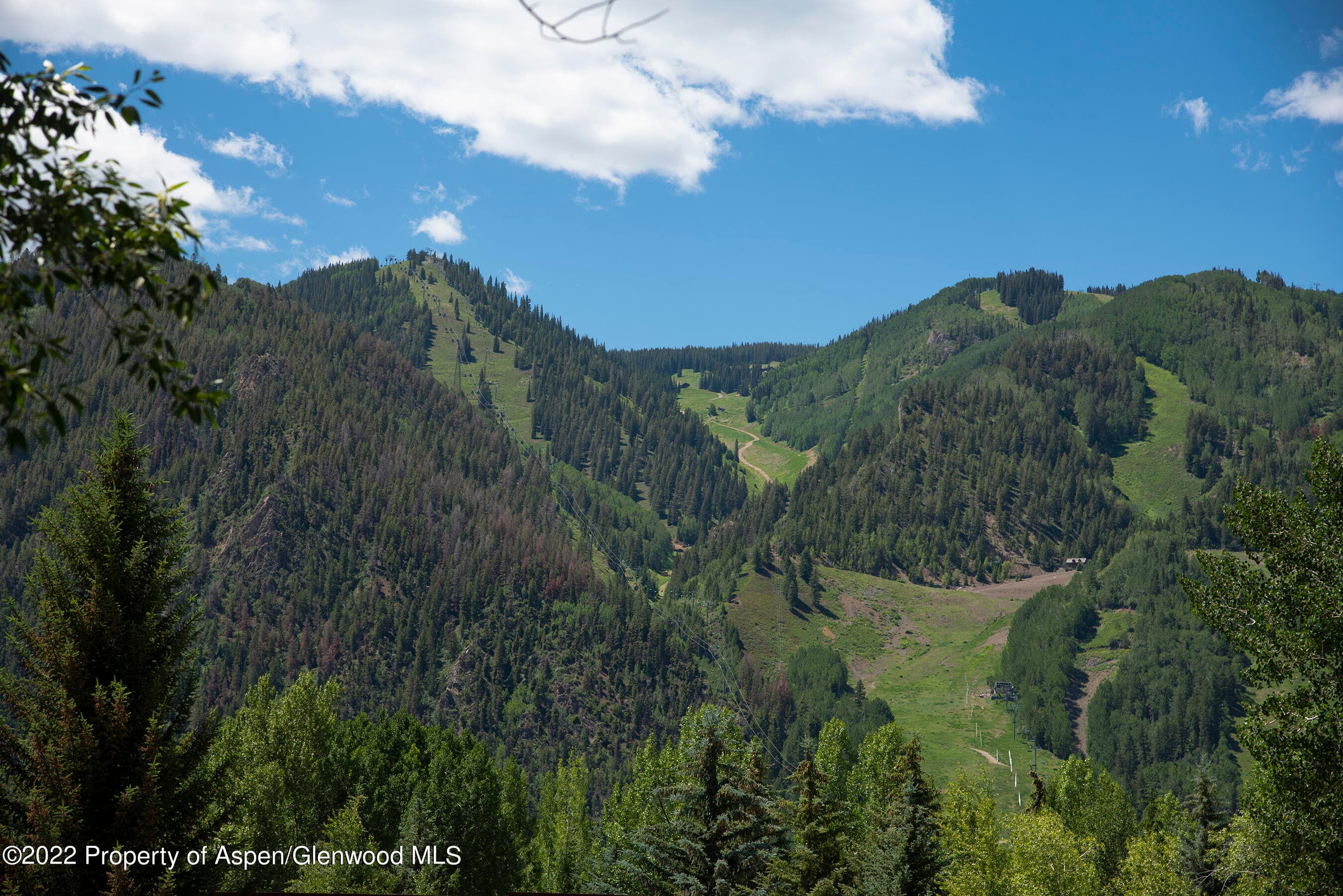 335 Vine Street 335, Aspen, CO 81611 - Photo 24