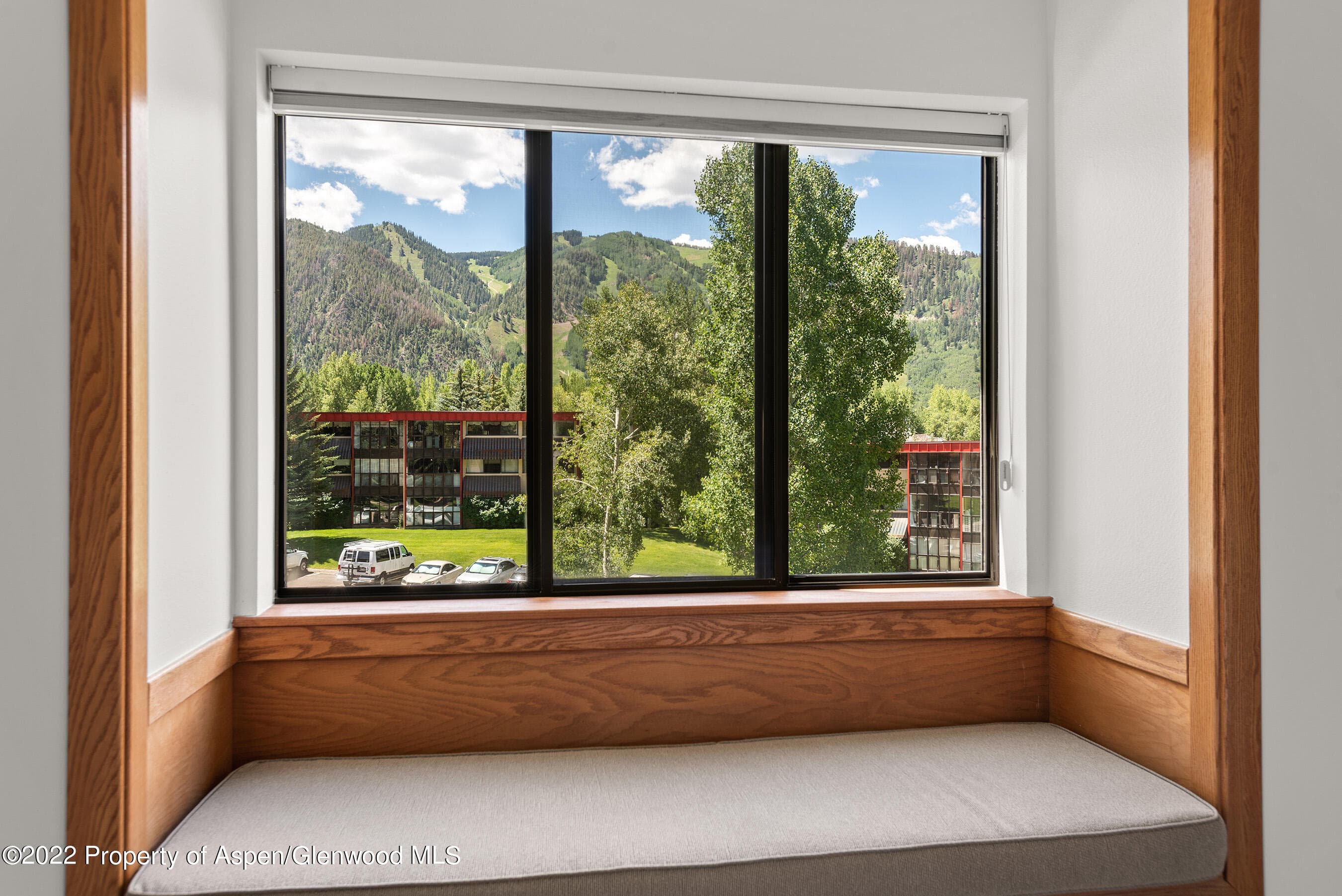 335 Vine Street 335, Aspen, CO 81611 - Photo 10
