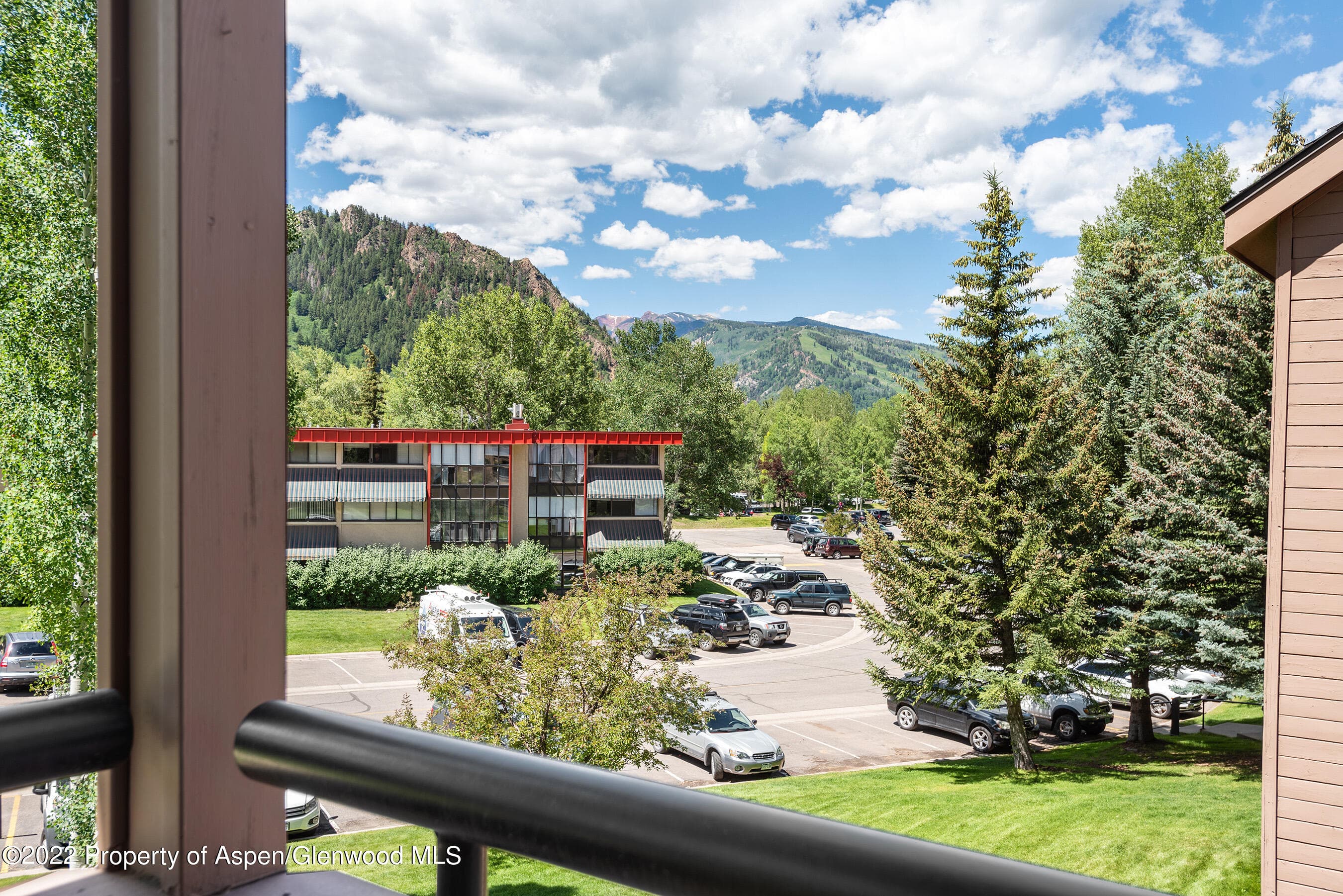 335 Vine Street 335, Aspen, CO 81611 - Photo 16