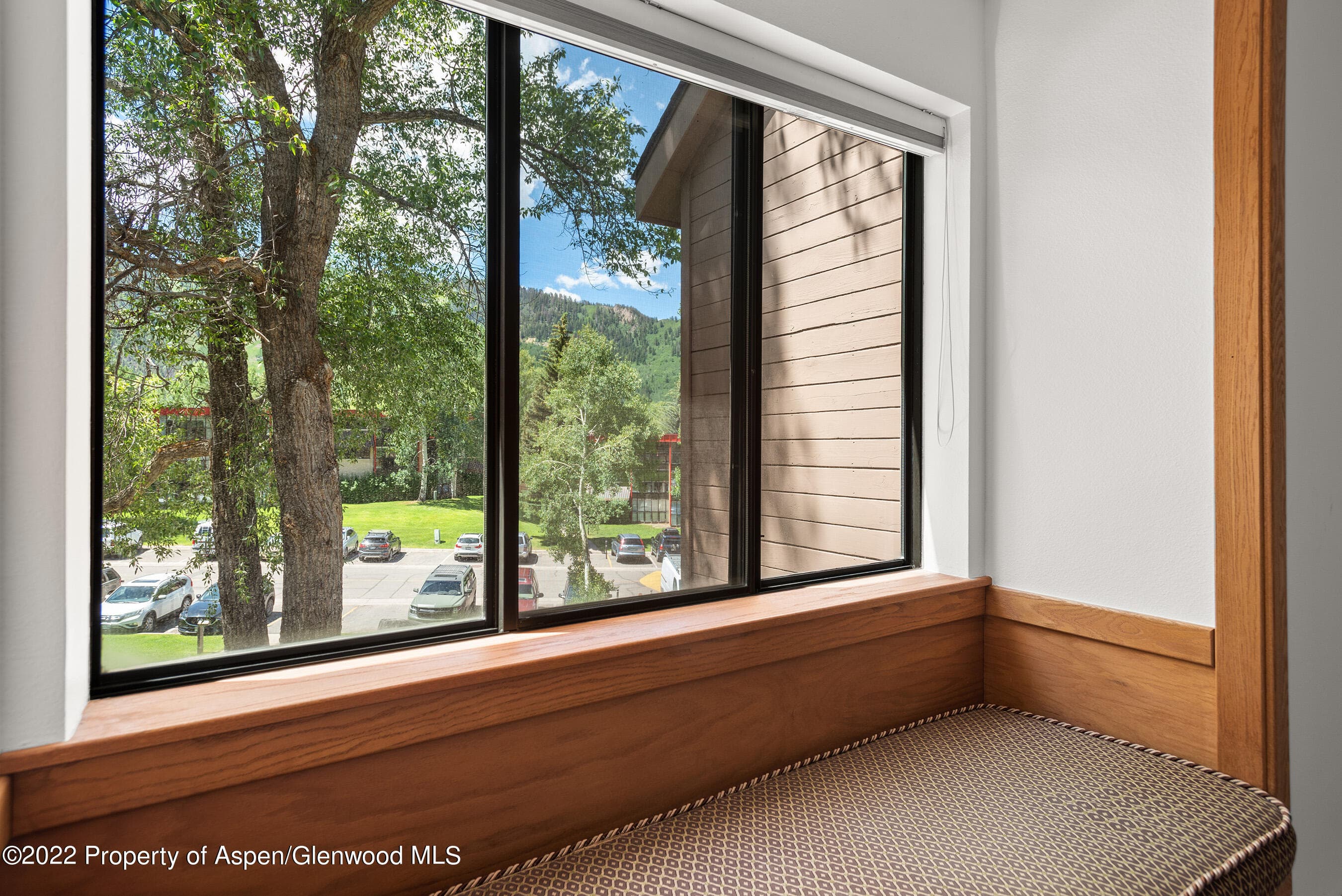 335 Vine Street 335, Aspen, CO 81611 - Photo 12