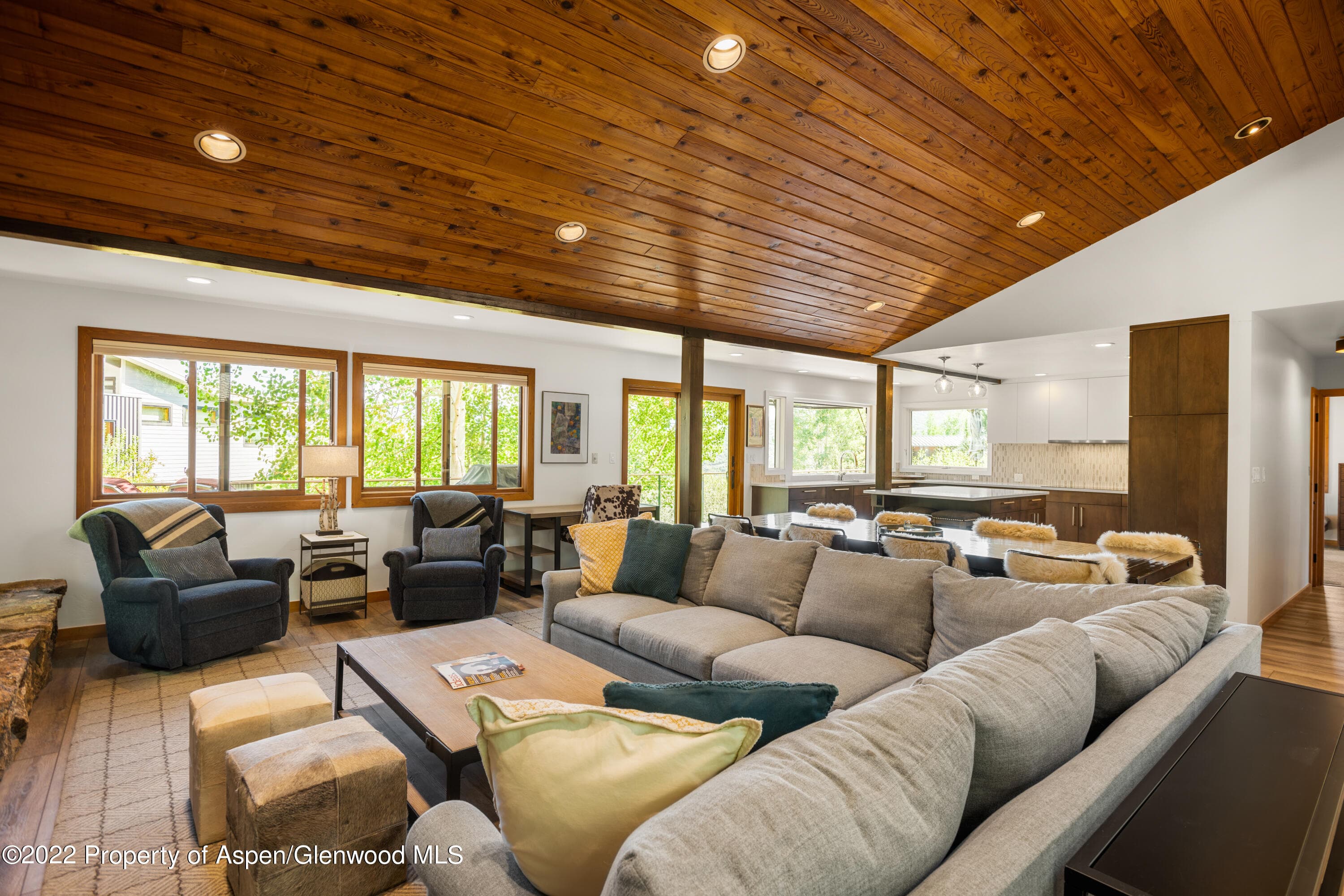 144 Meadow Road, Snowmass Village, CO 81615 - Photo 2