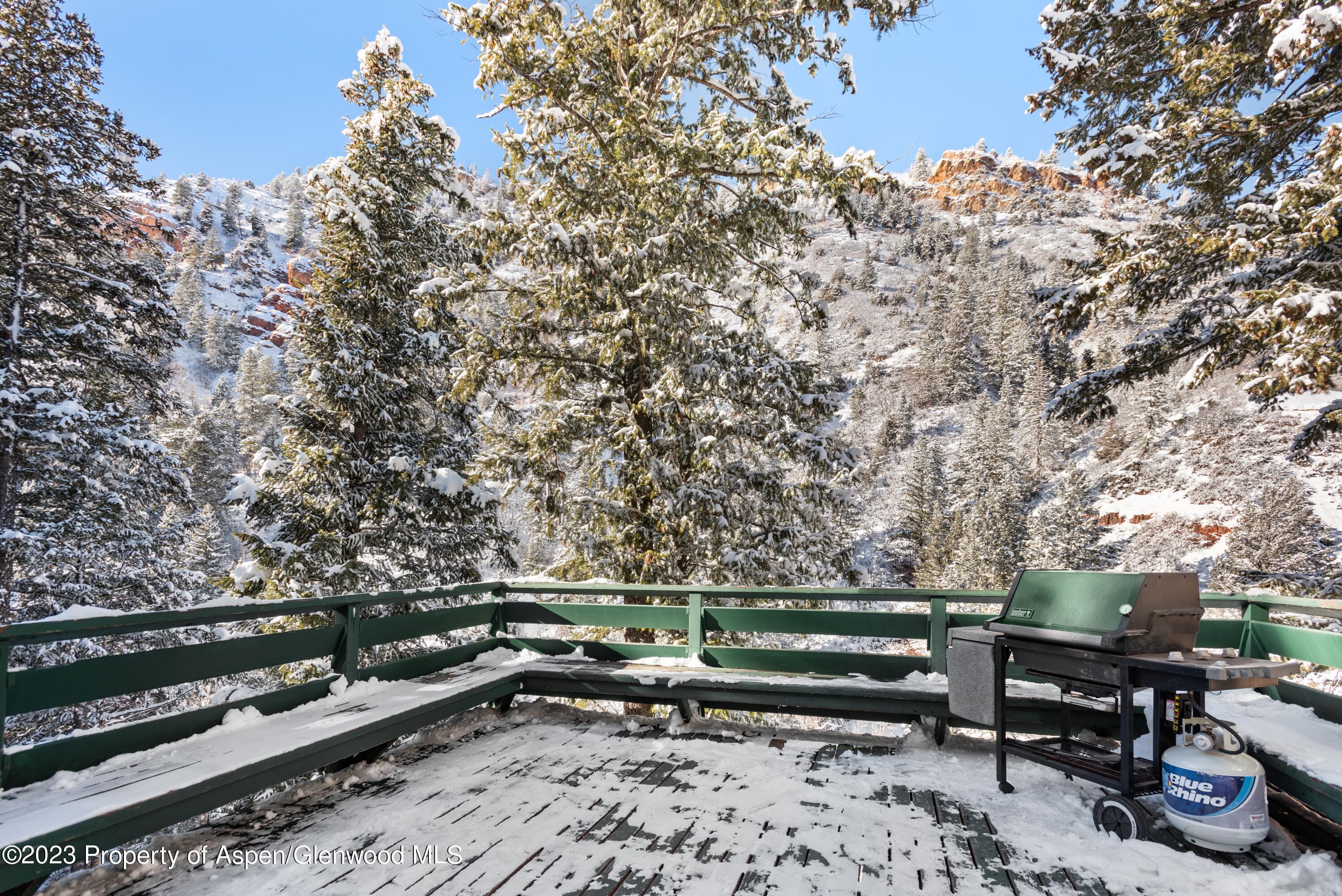 1501 Maroon Creek Road #5, Aspen, CO 81611 - Photo 22