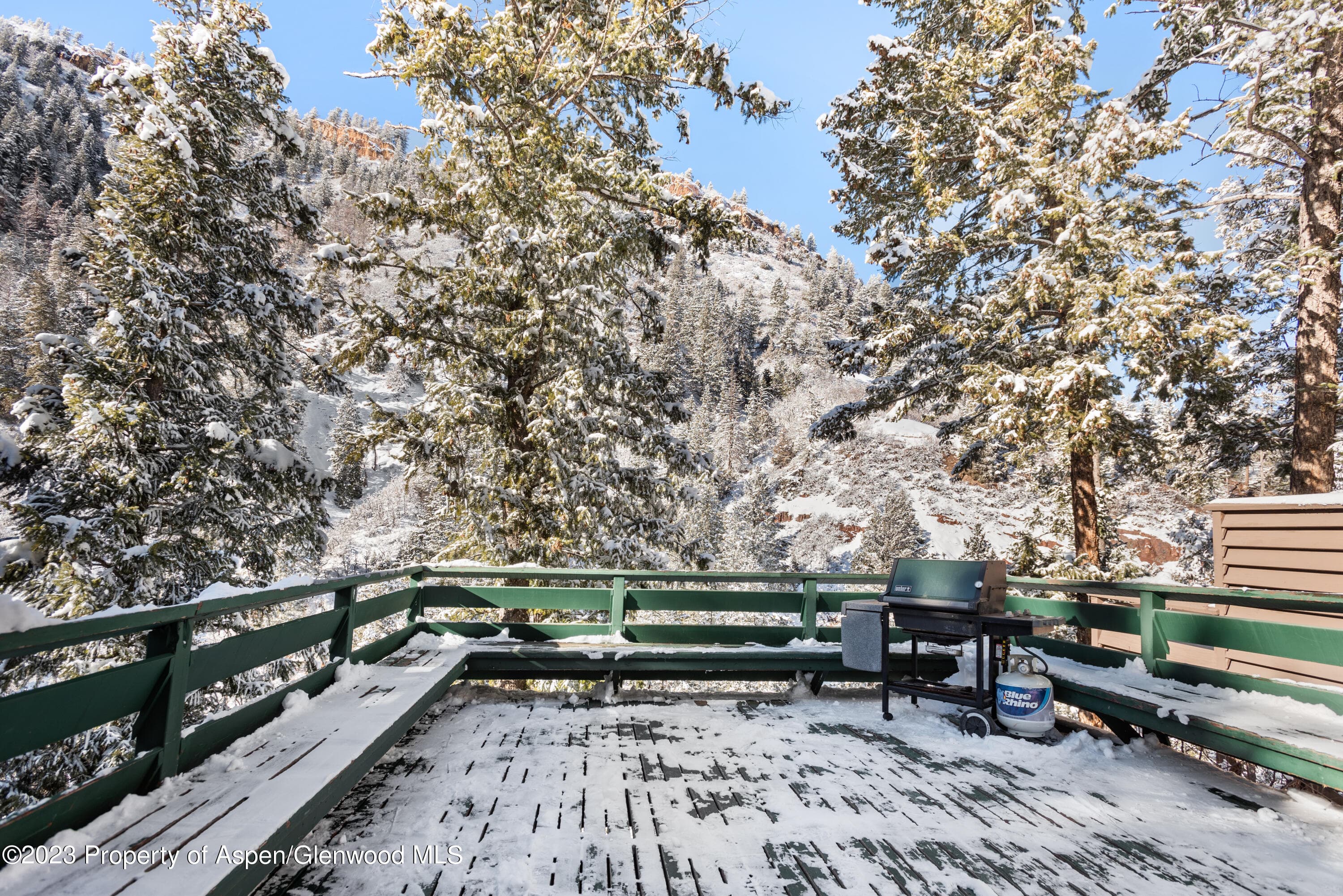 1501 Maroon Creek Road #5, Aspen, CO 81611 - Photo 2