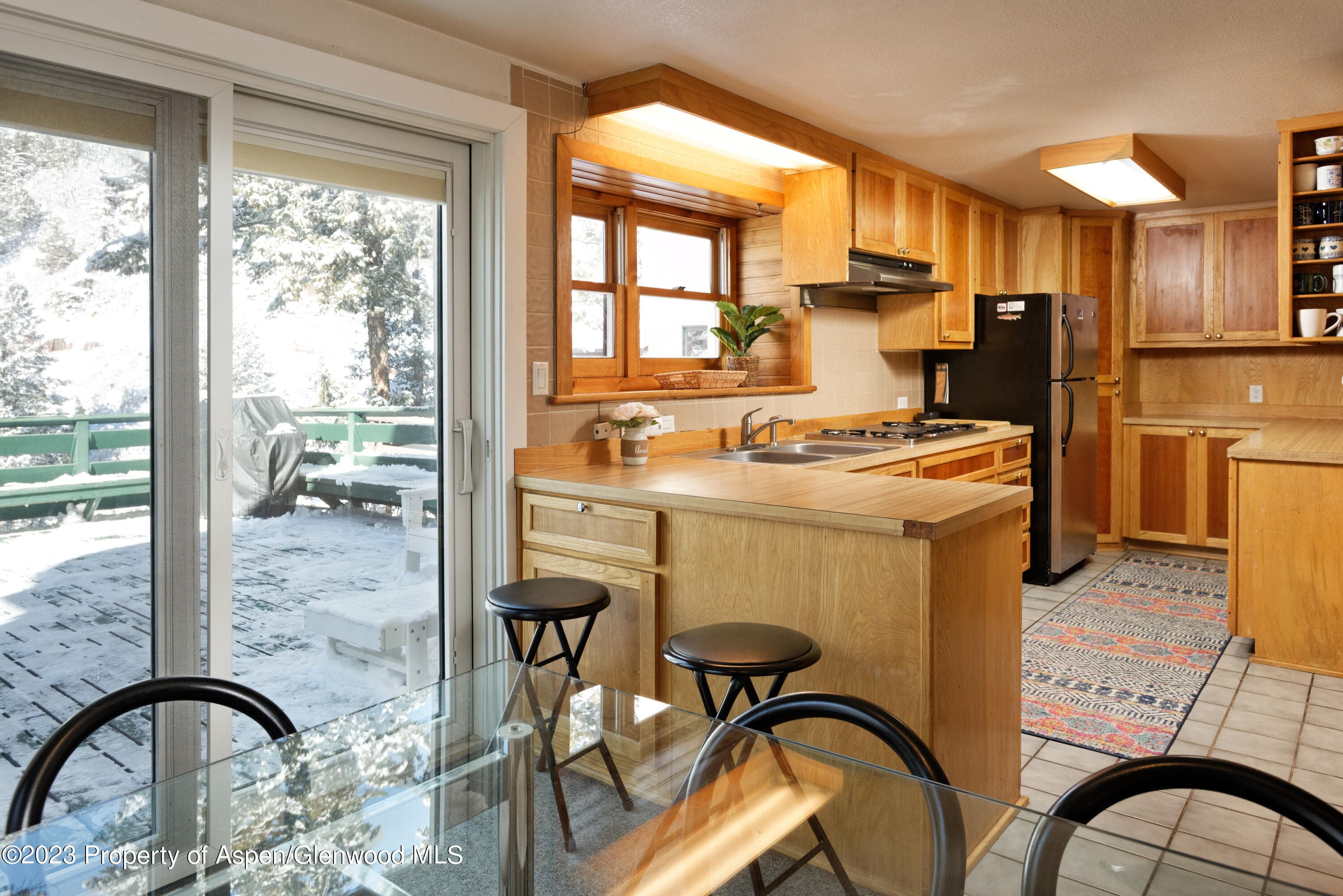 1501 Maroon Creek Road #5, Aspen, CO 81611 - Photo 9