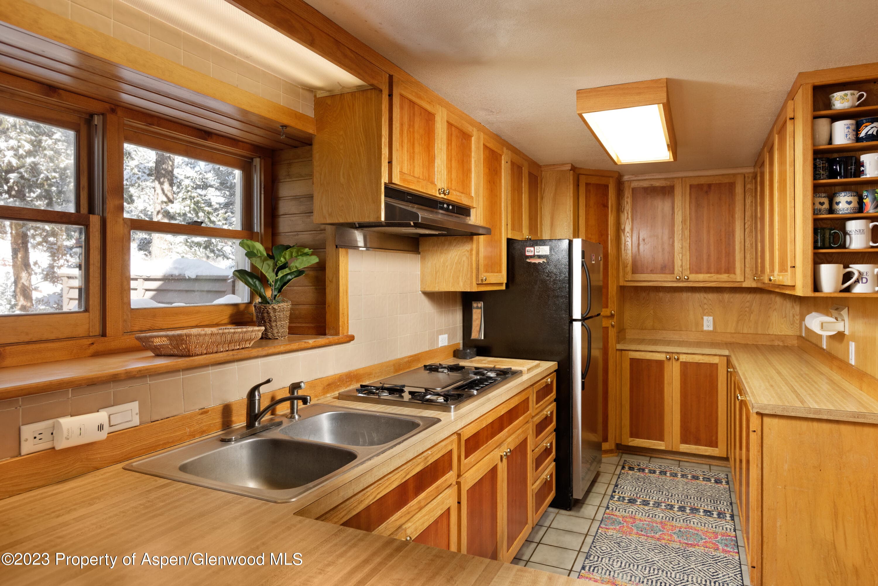 1501 Maroon Creek Road #5, Aspen, CO 81611 - Photo 10