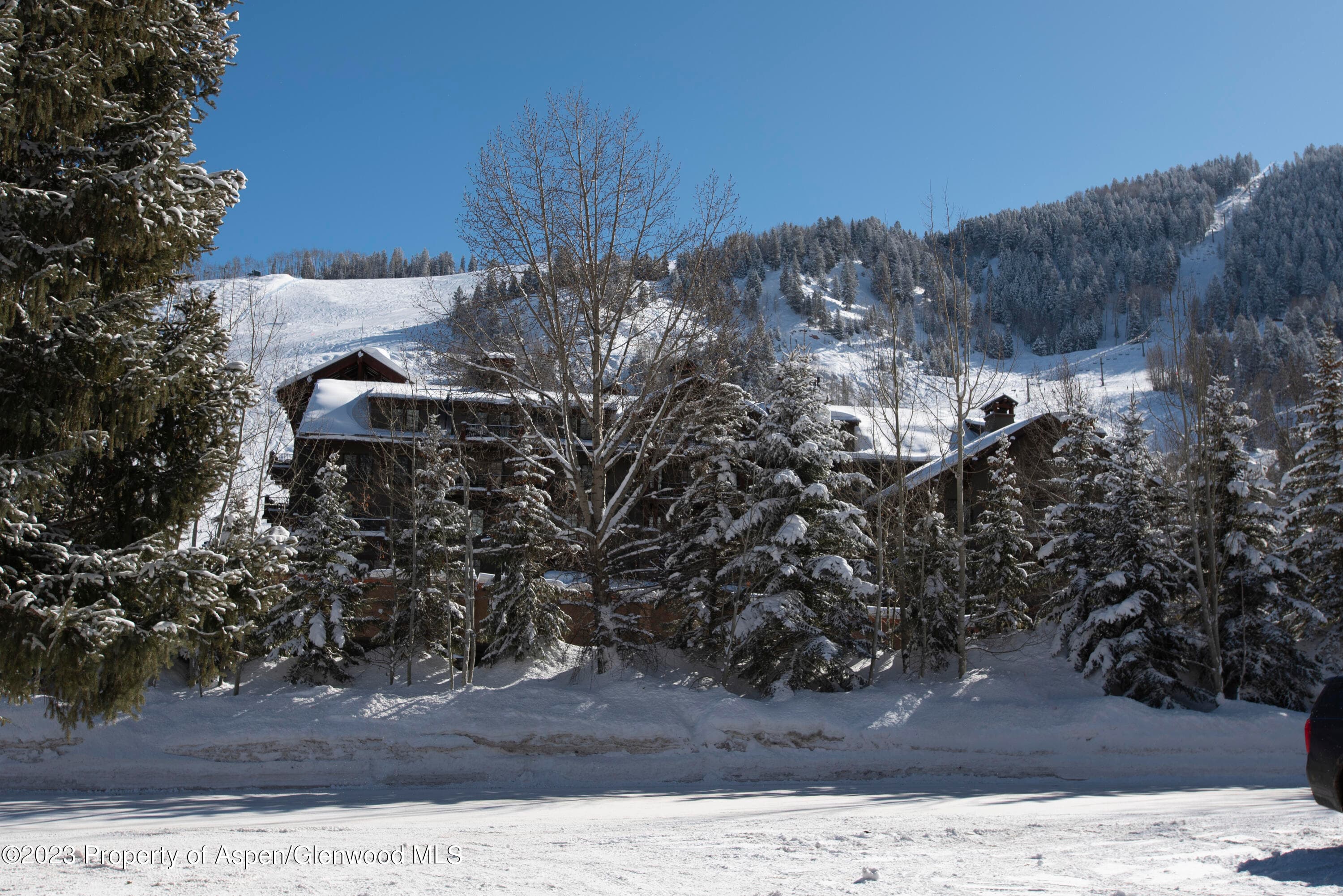 1501 Maroon Creek Road #5, Aspen, CO 81611 - Photo 13