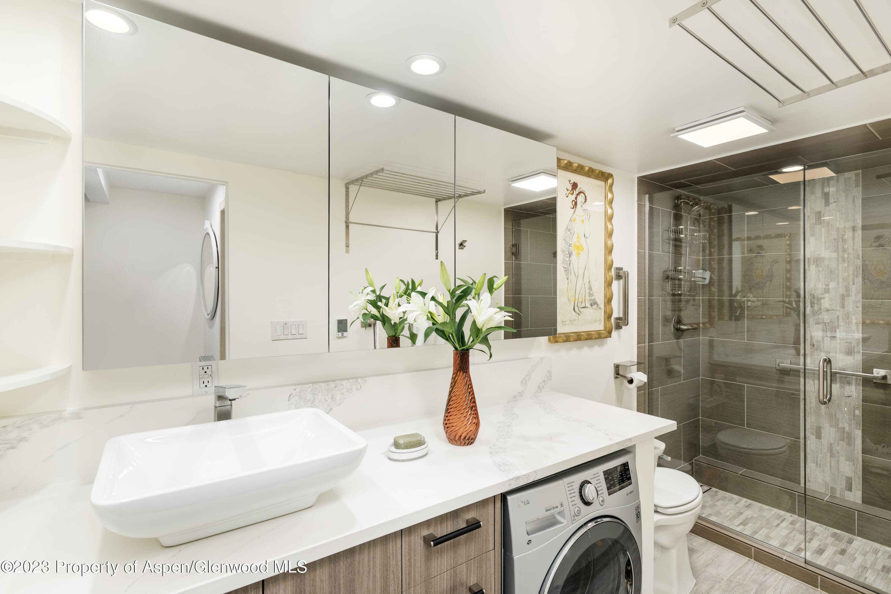 601 S West End Street 1, Aspen, CO 81611 - Photo 4