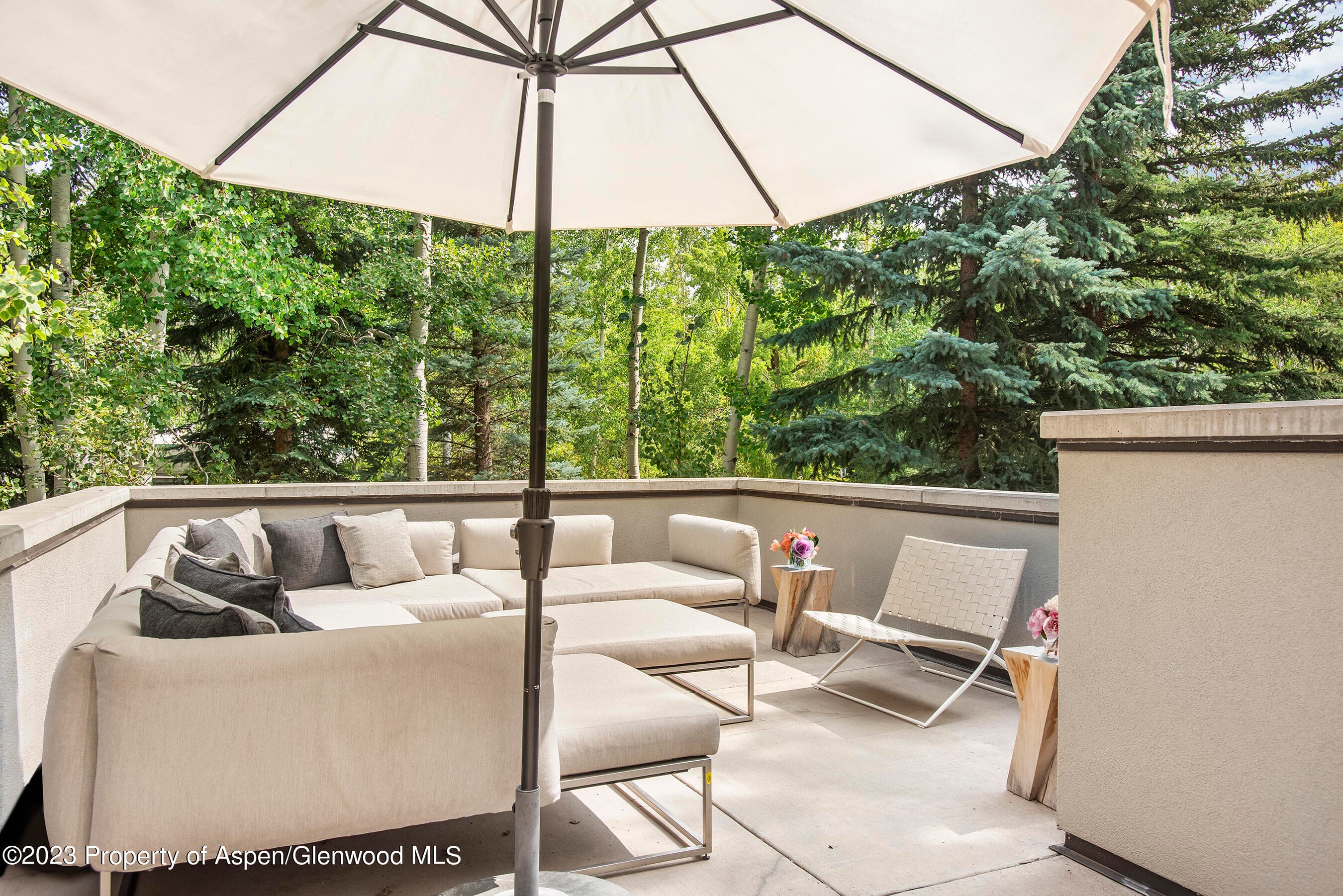 307 N Sixth Street, Aspen, CO 81611 - Photo 13