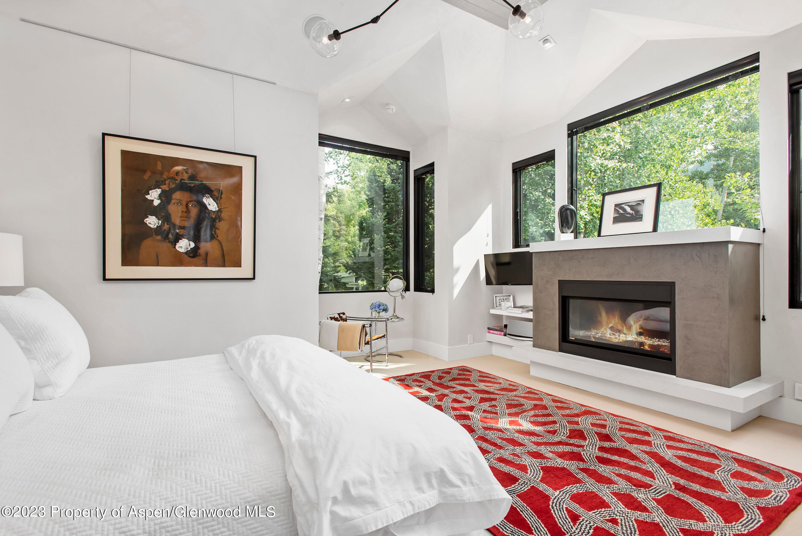 307 N Sixth Street, Aspen, CO 81611 - Photo 16