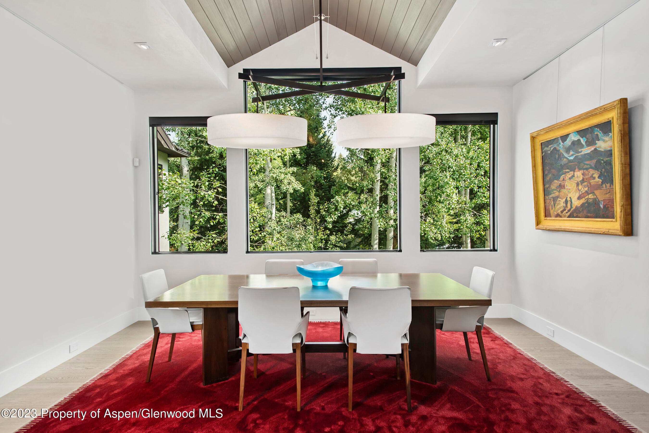 307 N Sixth Street, Aspen, CO 81611 - Photo 10