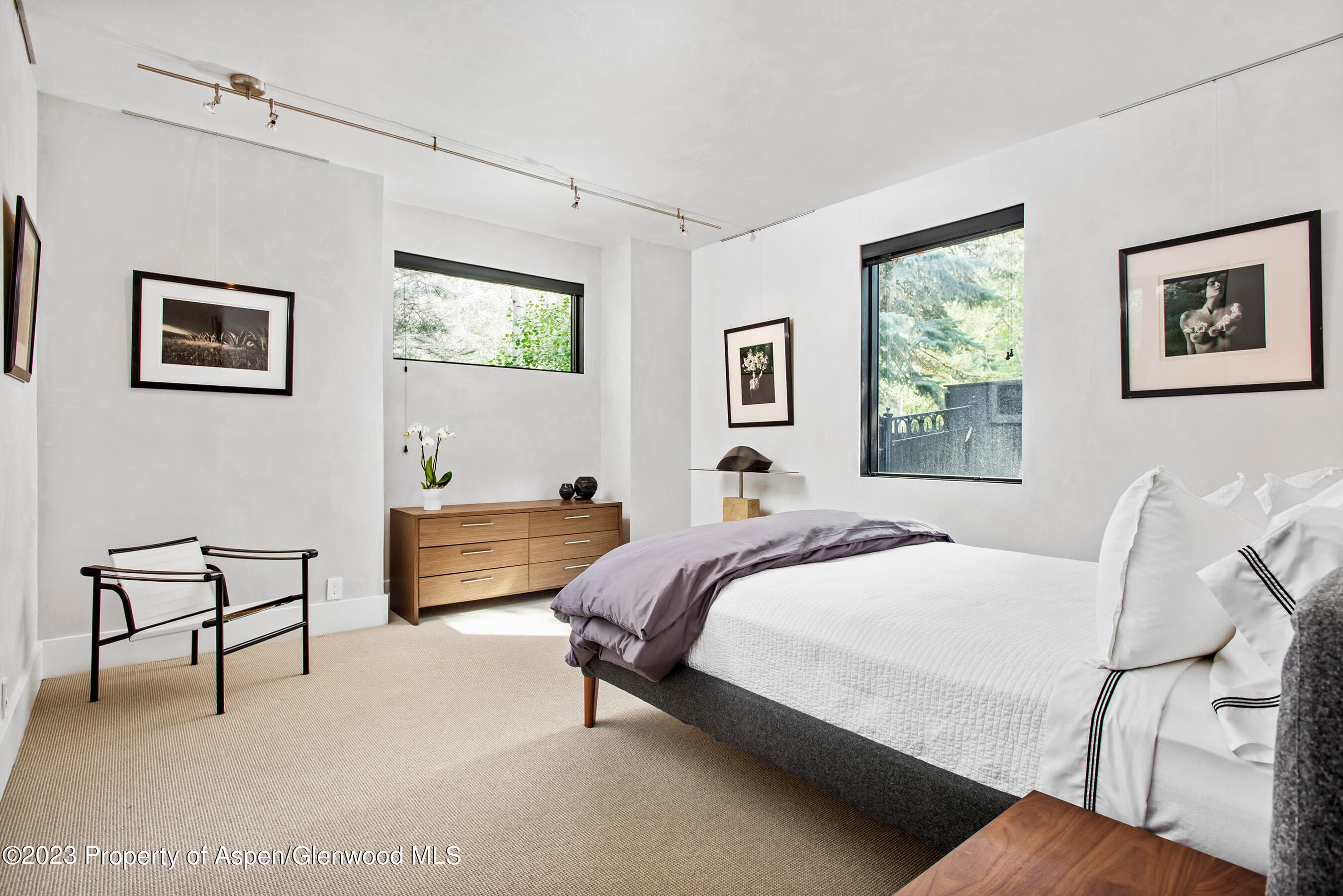 307 N Sixth Street, Aspen, CO 81611 - Photo 20