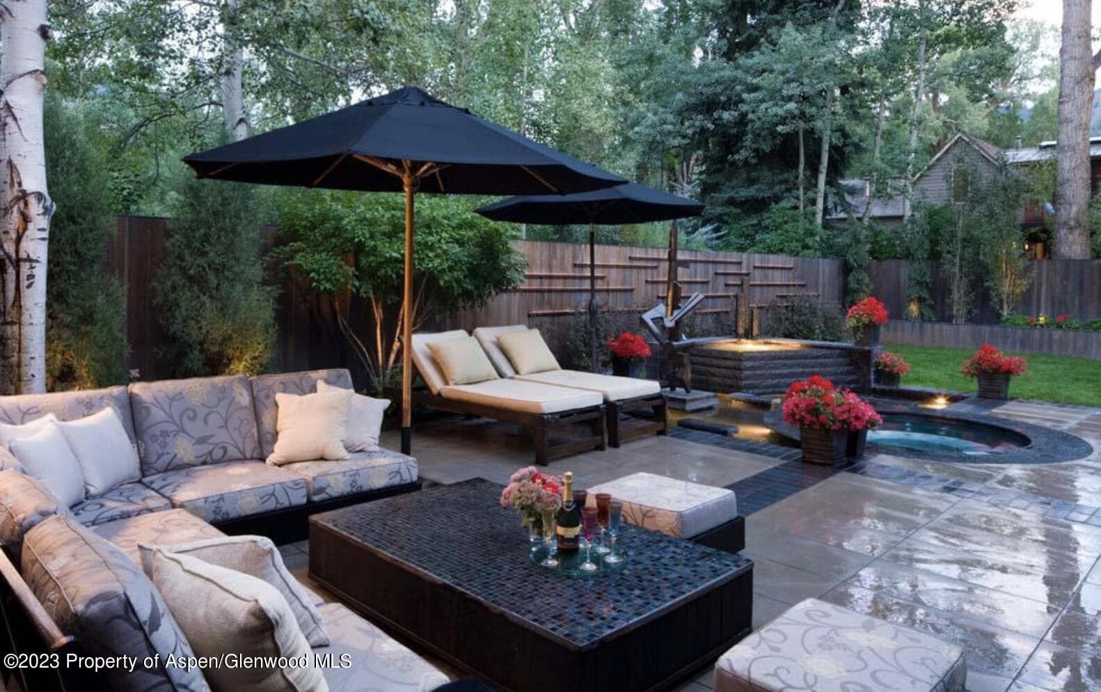 710 N 3rd Street, Aspen, CO 81611 - Photo 4