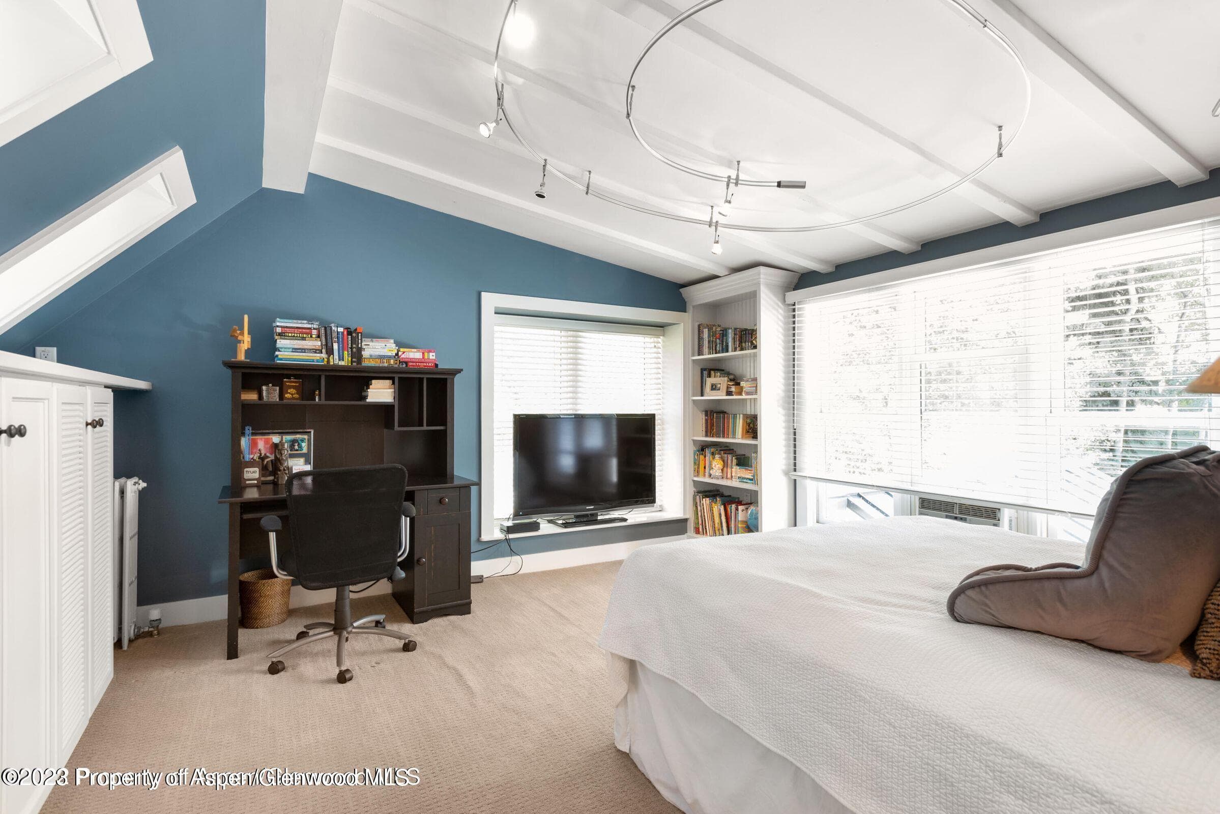 710 N 3rd Street, Aspen, CO 81611 - Photo 31