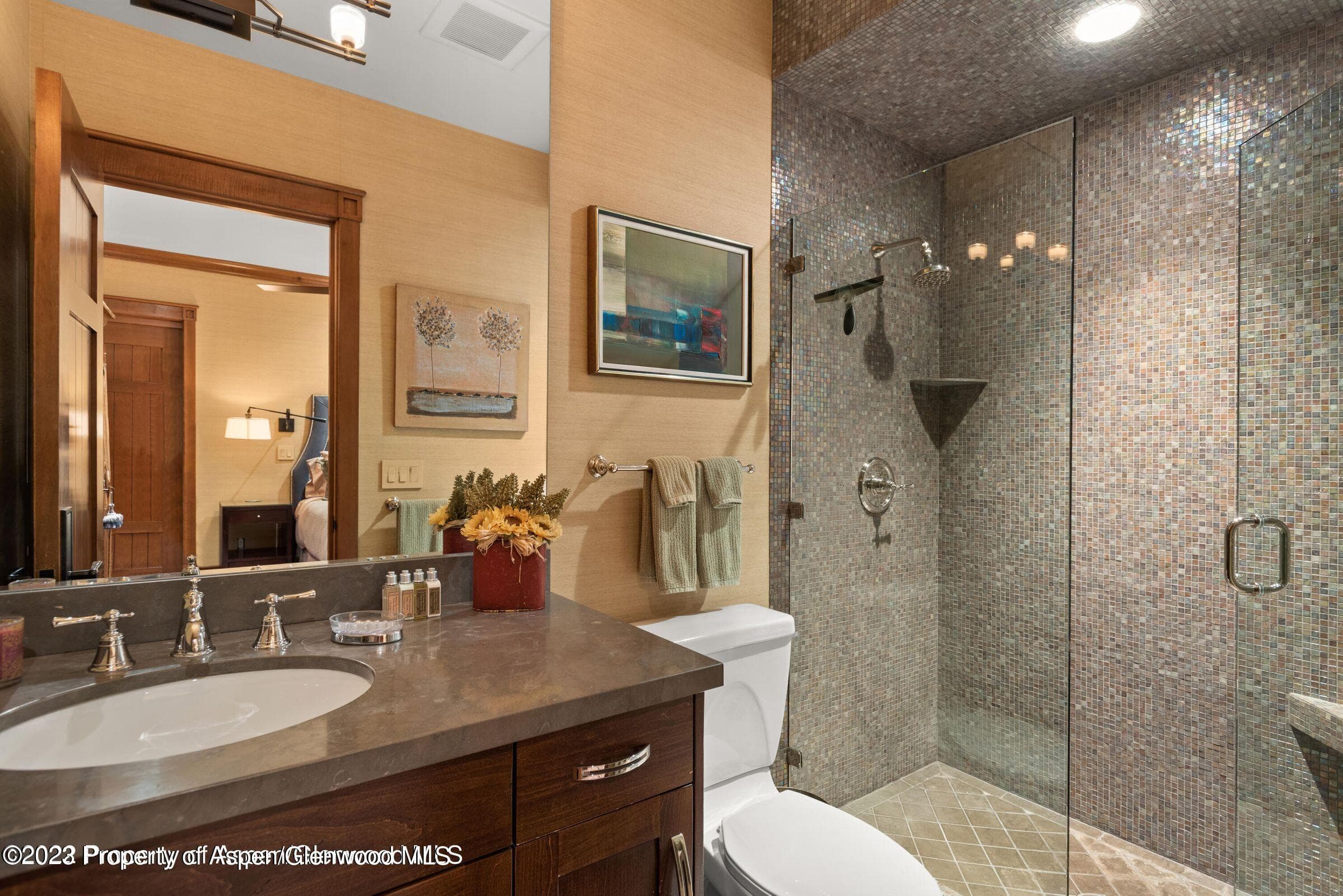 710 N 3rd Street, Aspen, CO 81611 - Photo 41