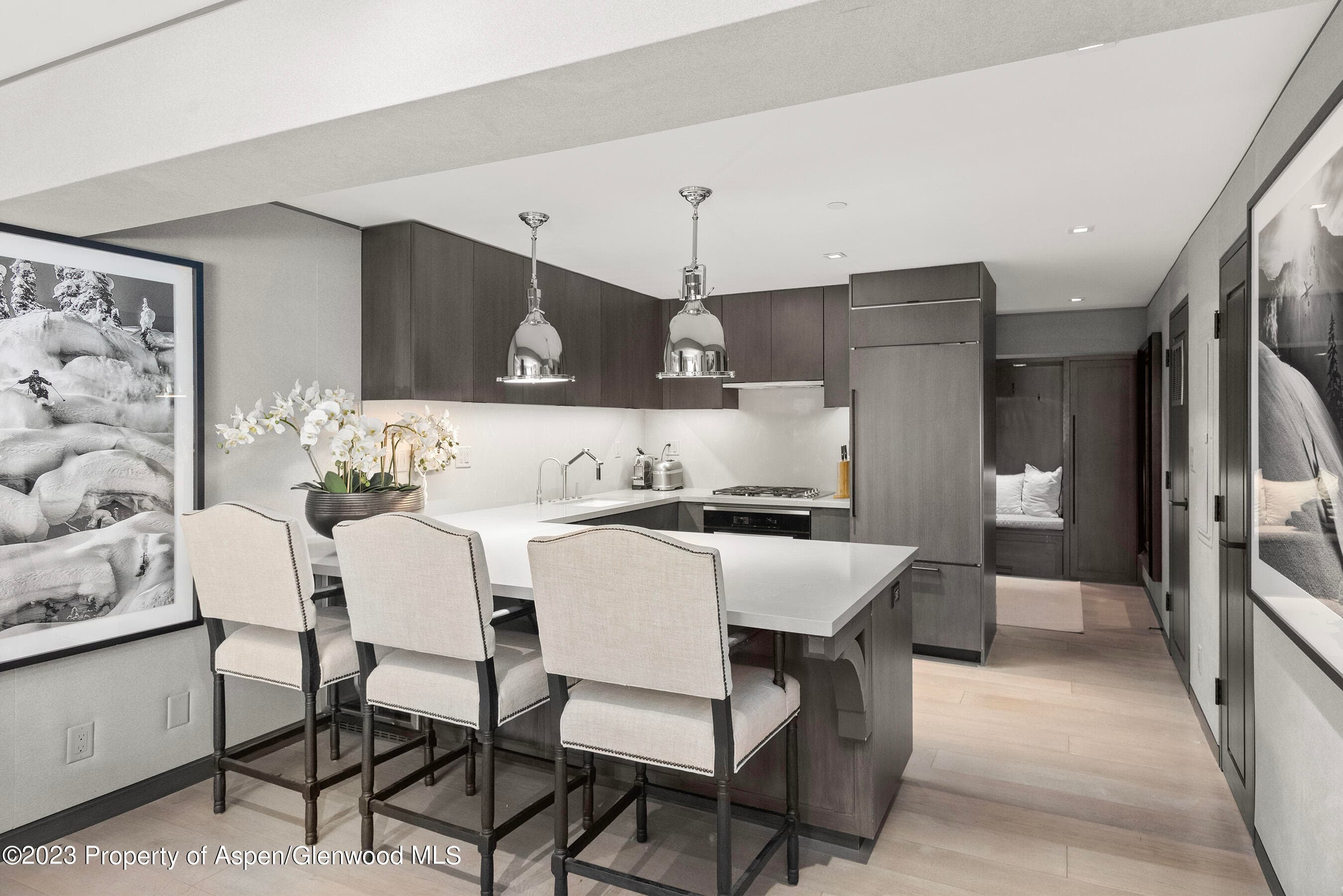 555 E Durant Avenue 2N, Aspen, CO 81611 - Photo 4