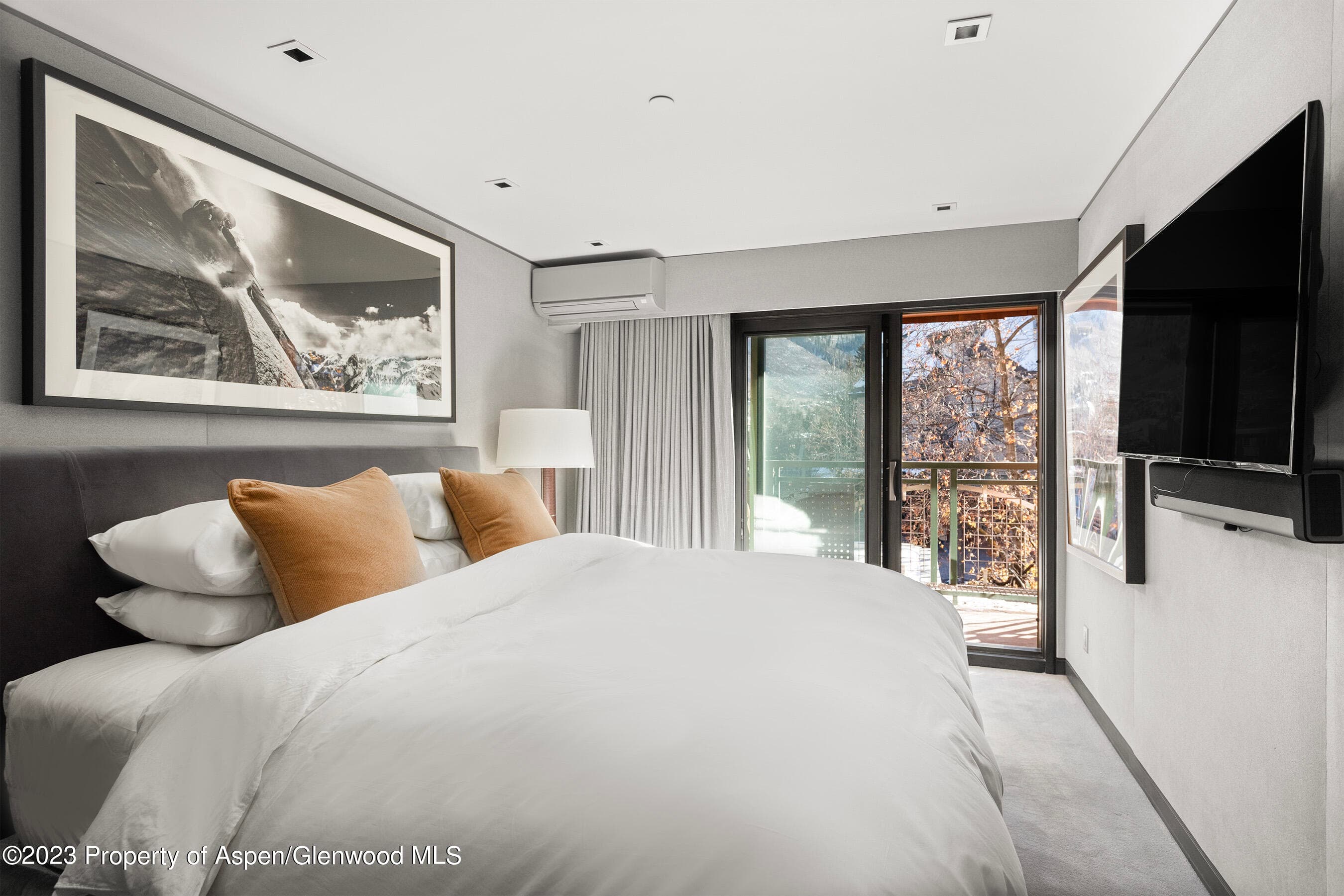 555 E Durant Avenue 2N, Aspen, CO 81611 - Photo 9