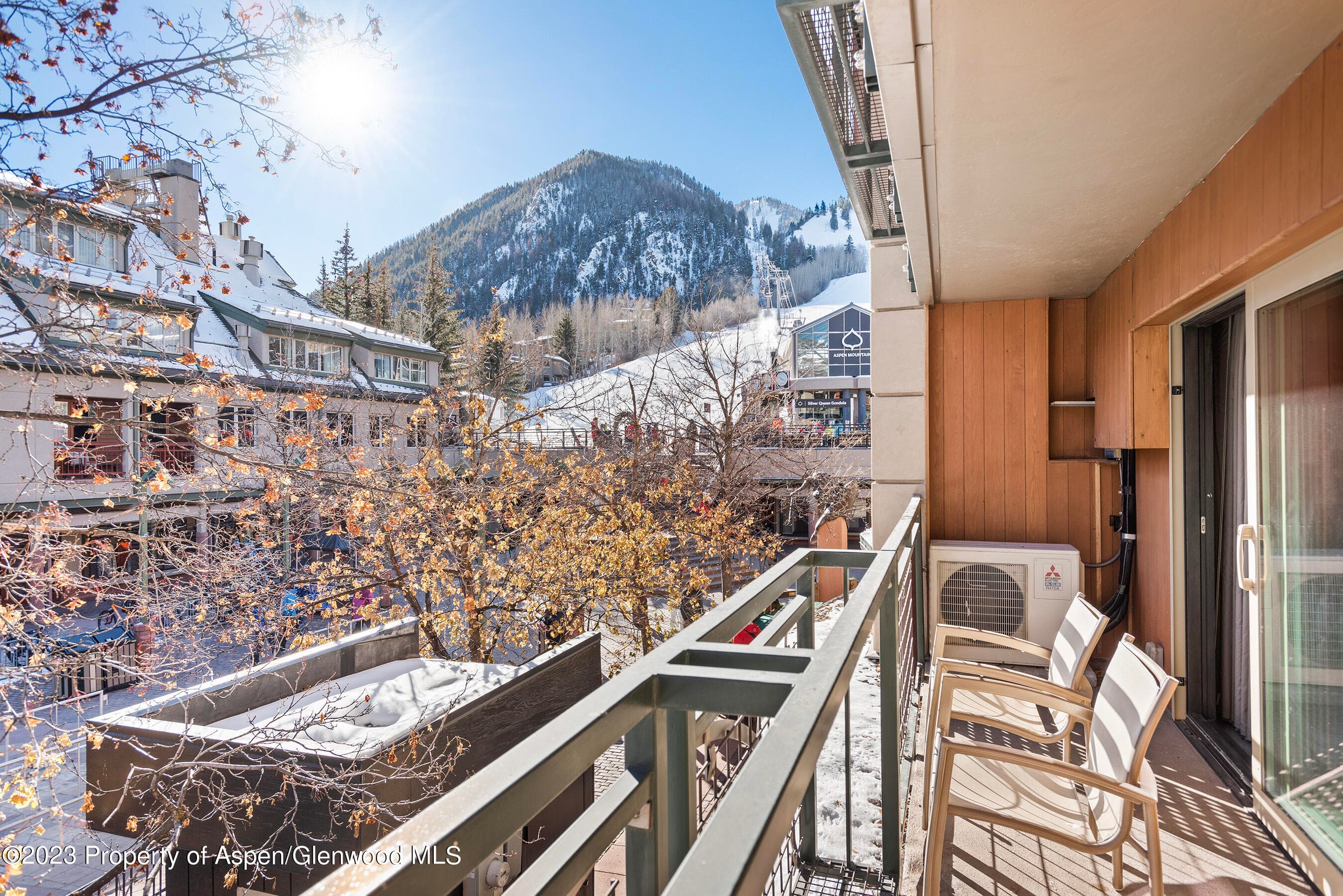 555 E Durant Avenue 2N, Aspen, CO 81611 - Photo 16