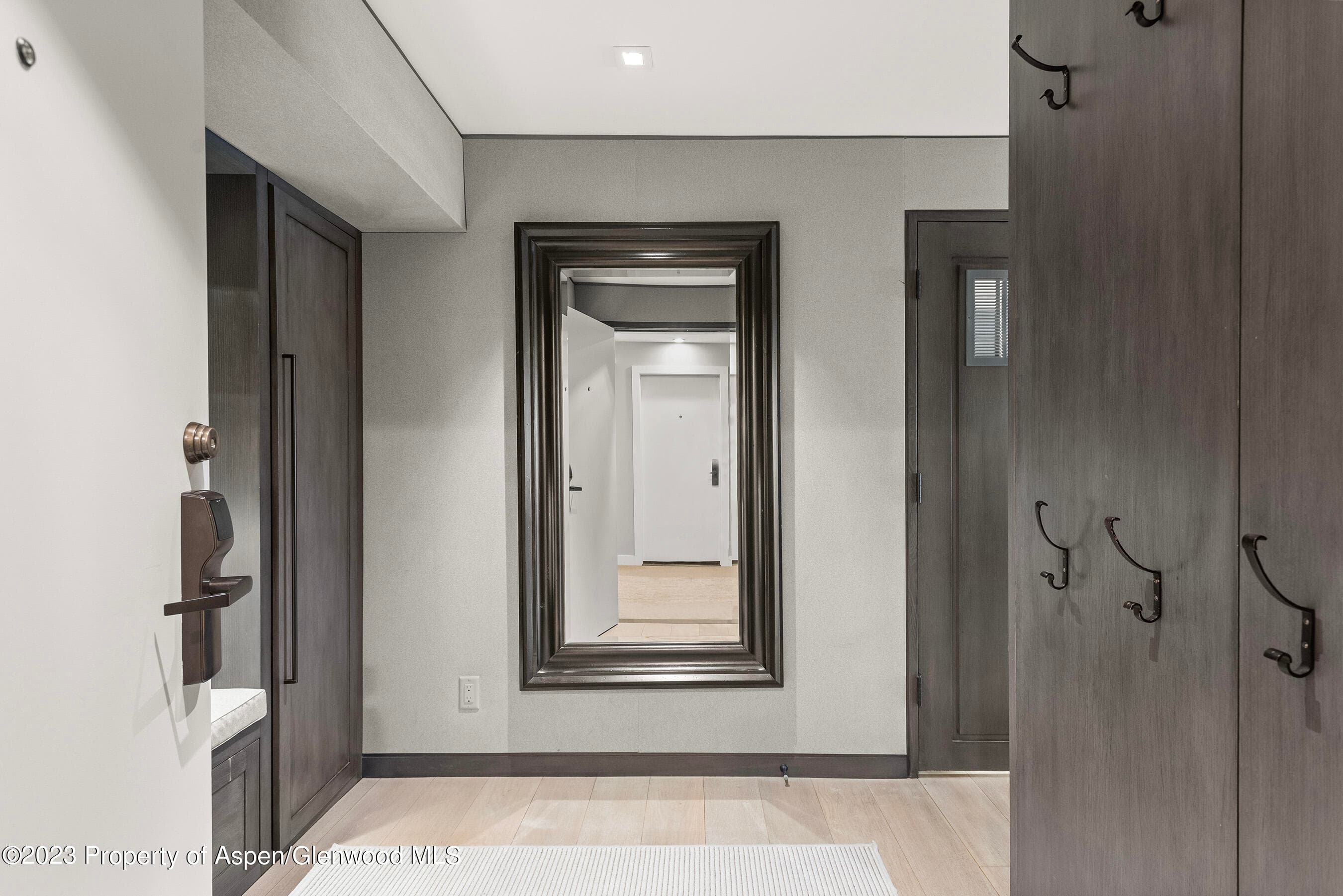 555 E Durant Avenue 2N, Aspen, CO 81611 - Photo 20