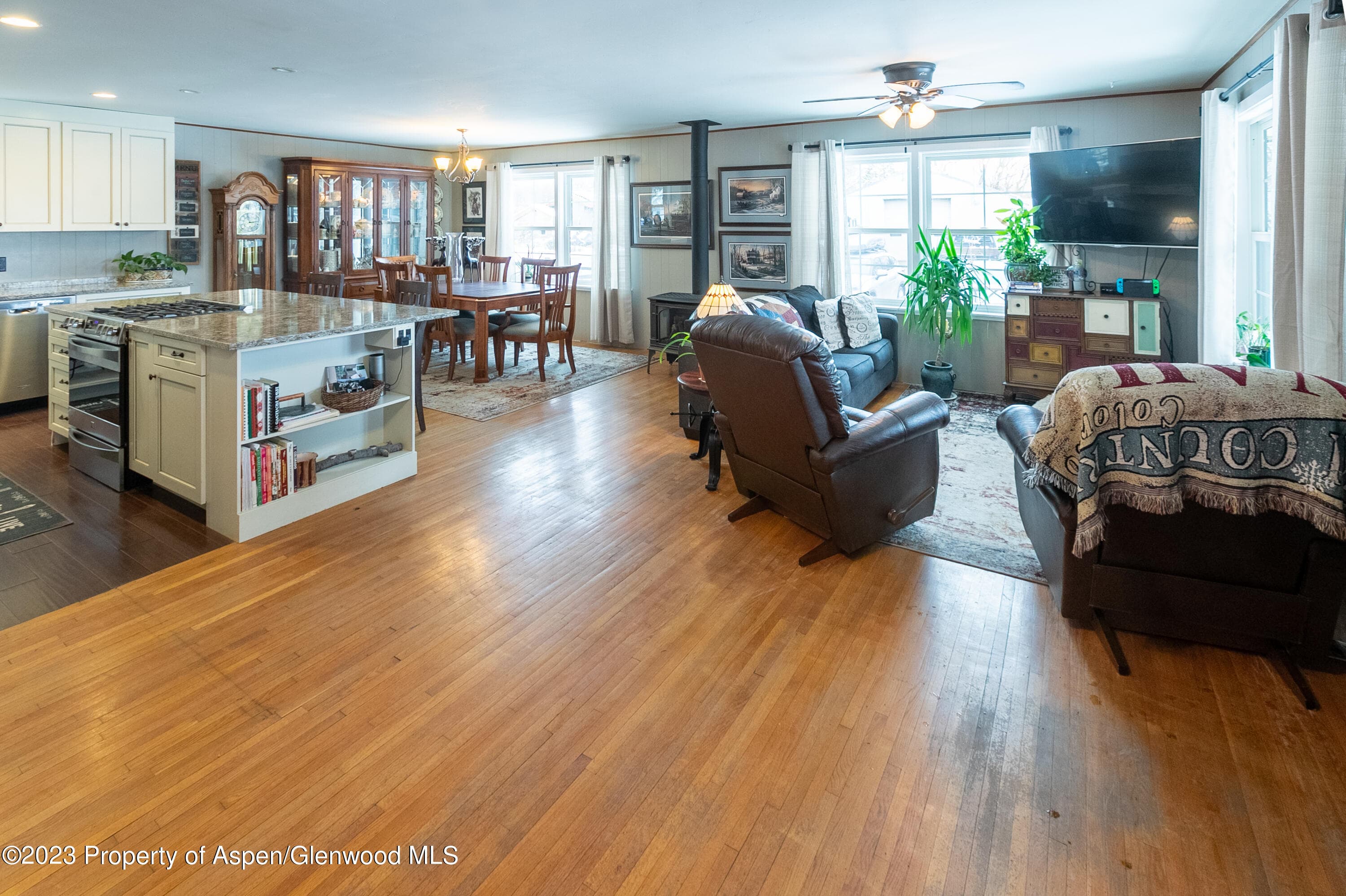 51 Sopris Avenue, Carbondale, CO 81623 - Photo 2