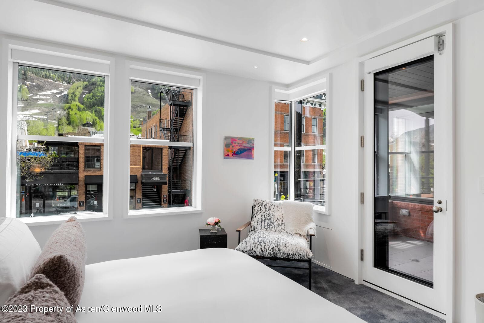508 E Cooper Avenue 201, Aspen, CO 81611 - Photo 20