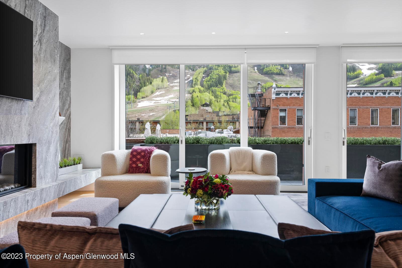 508 E Cooper Avenue 201, Aspen, CO 81611 - Photo 51