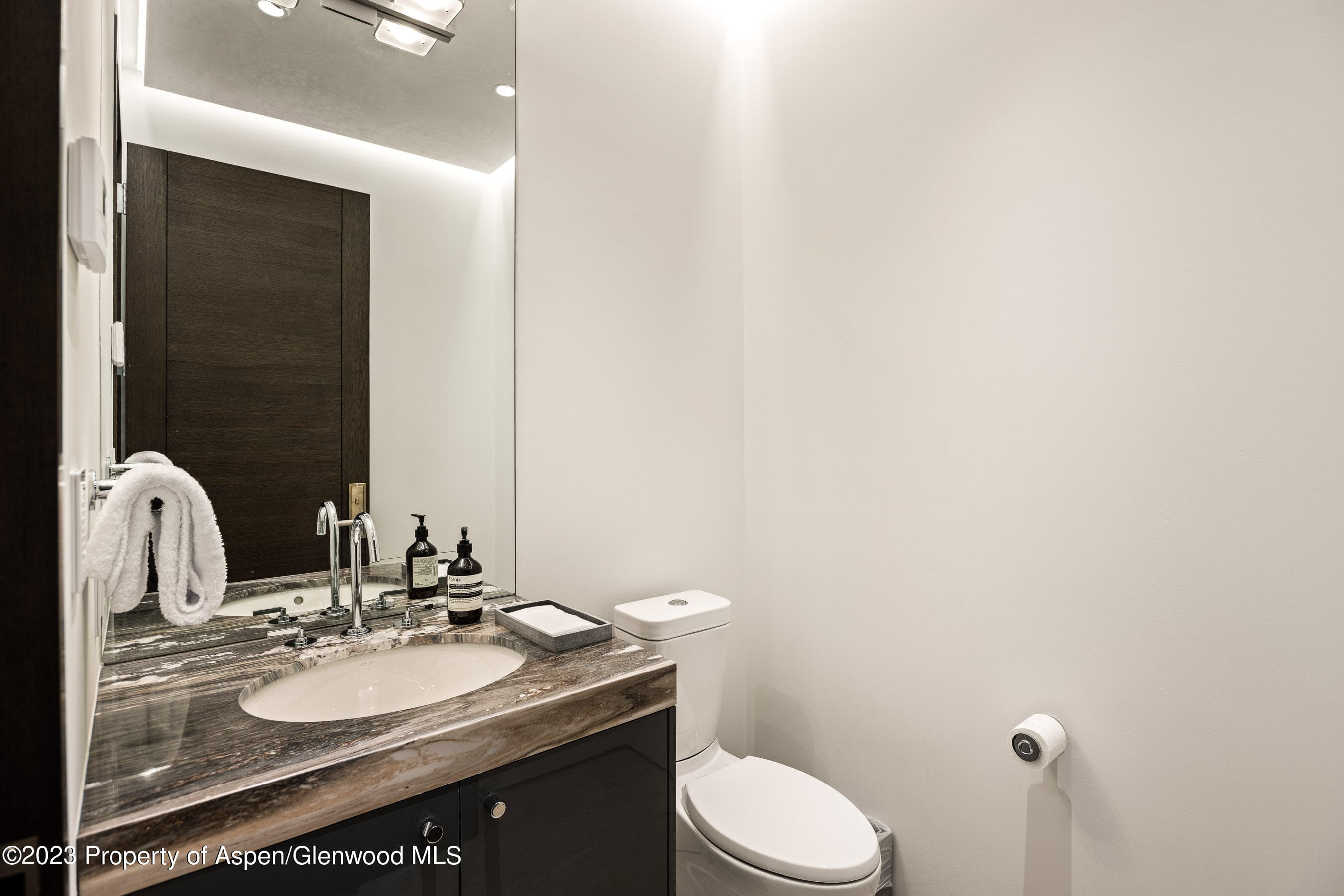 19 Little Cloud Trail, Aspen, CO 81611 - Photo 28