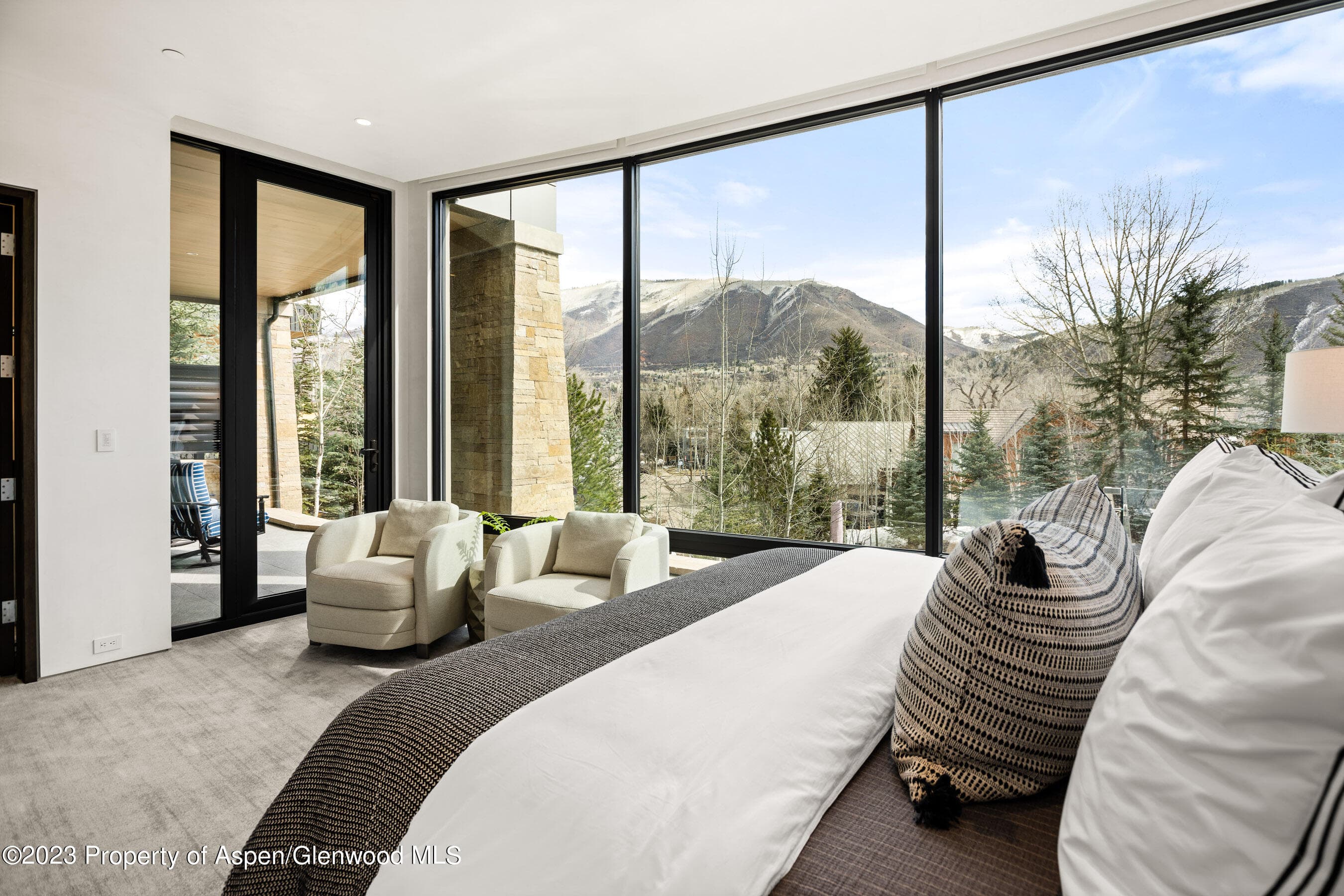 19 Little Cloud Trail, Aspen, CO 81611 - Photo 27