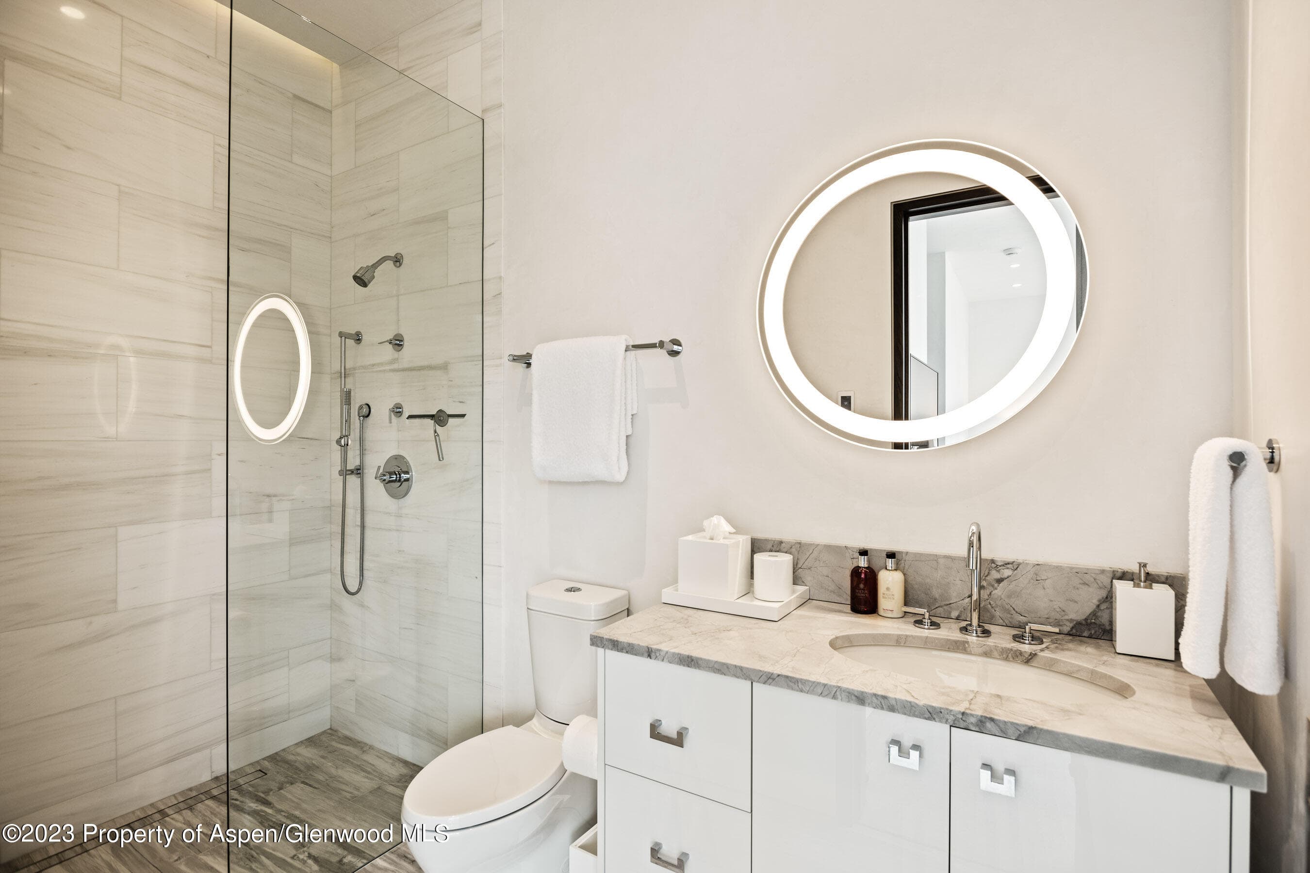 19 Little Cloud Trail, Aspen, CO 81611 - Photo 29