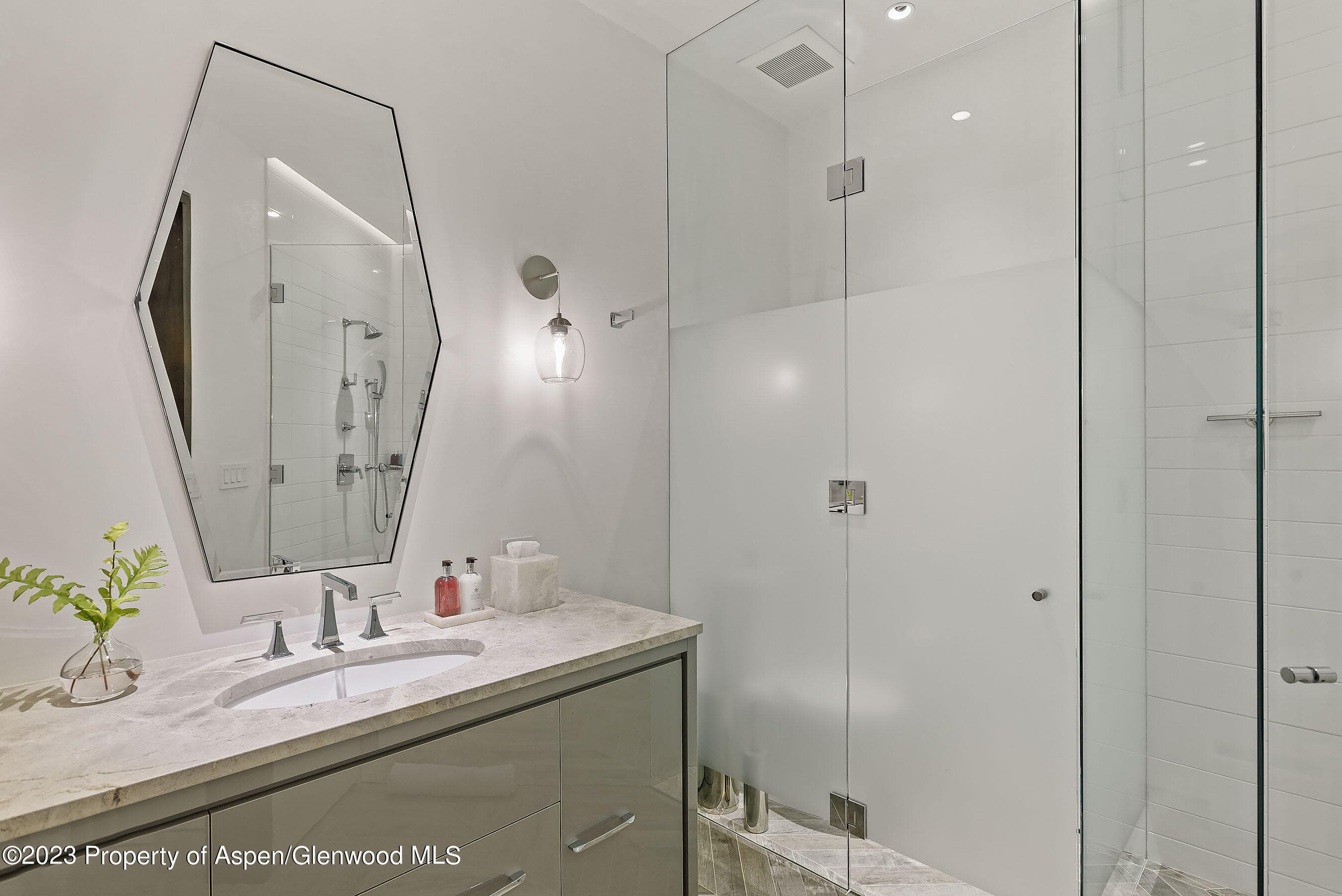 19 Little Cloud Trail, Aspen, CO 81611 - Photo 46