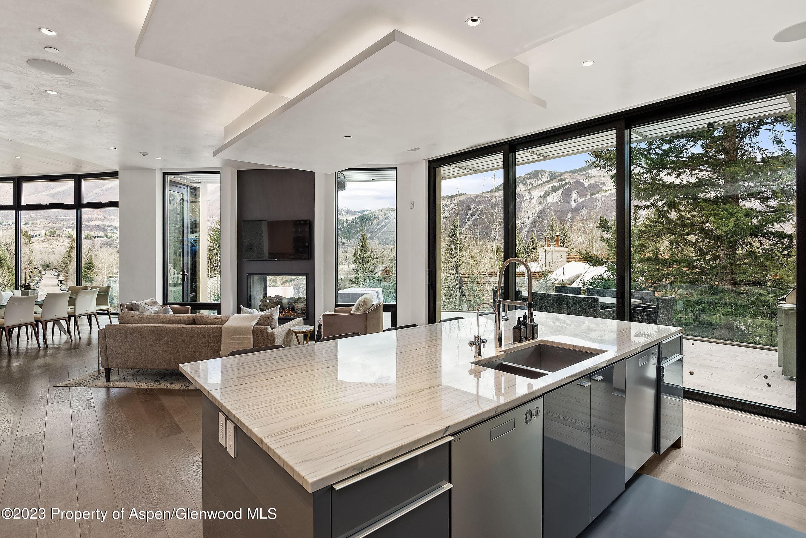 19 Little Cloud Trail, Aspen, CO 81611 - Photo 8