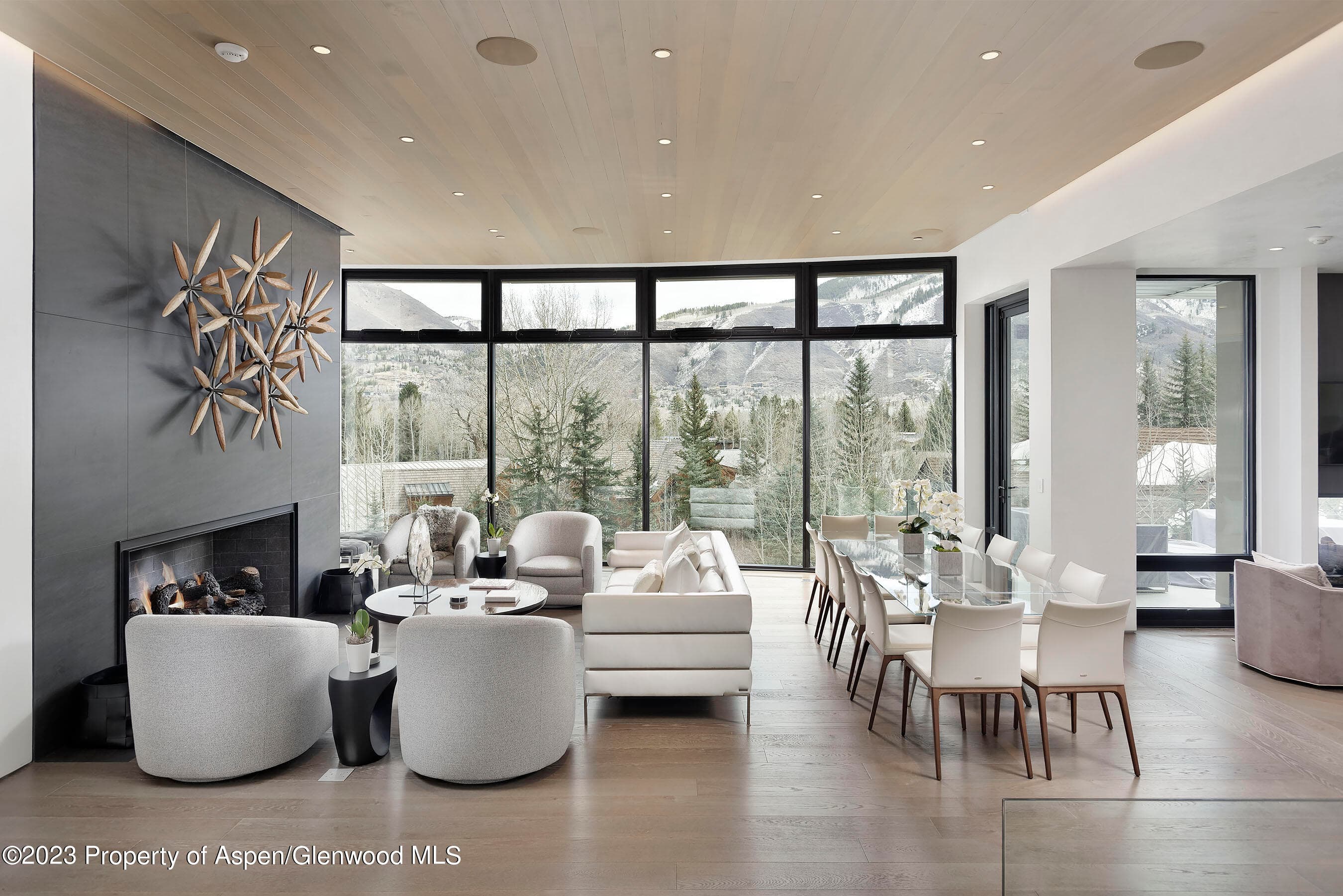 19 Little Cloud Trail, Aspen, CO 81611 - Photo 3