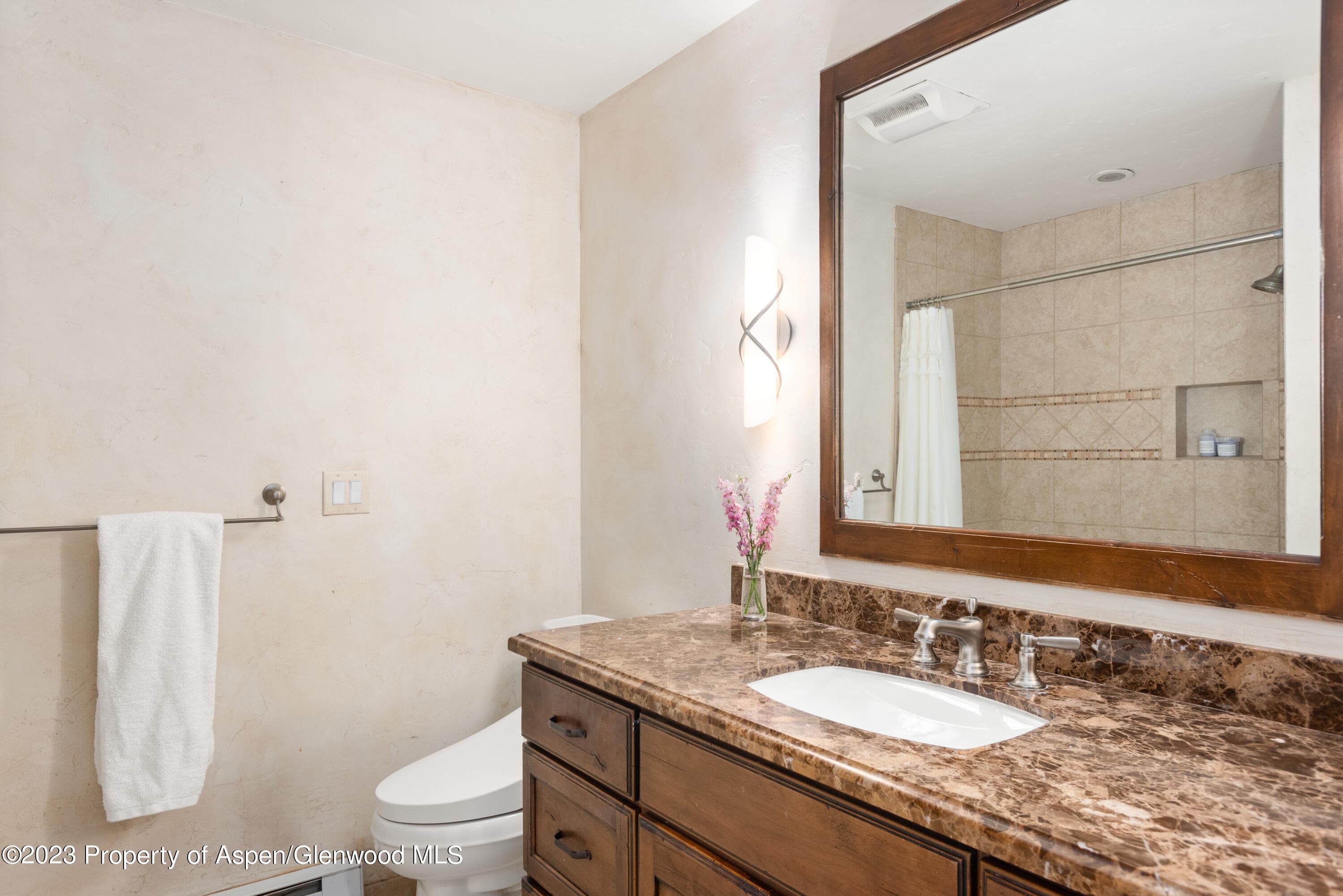 49 Elk Ridge Lane, Snowmass Village, CO 81615 - Photo 21