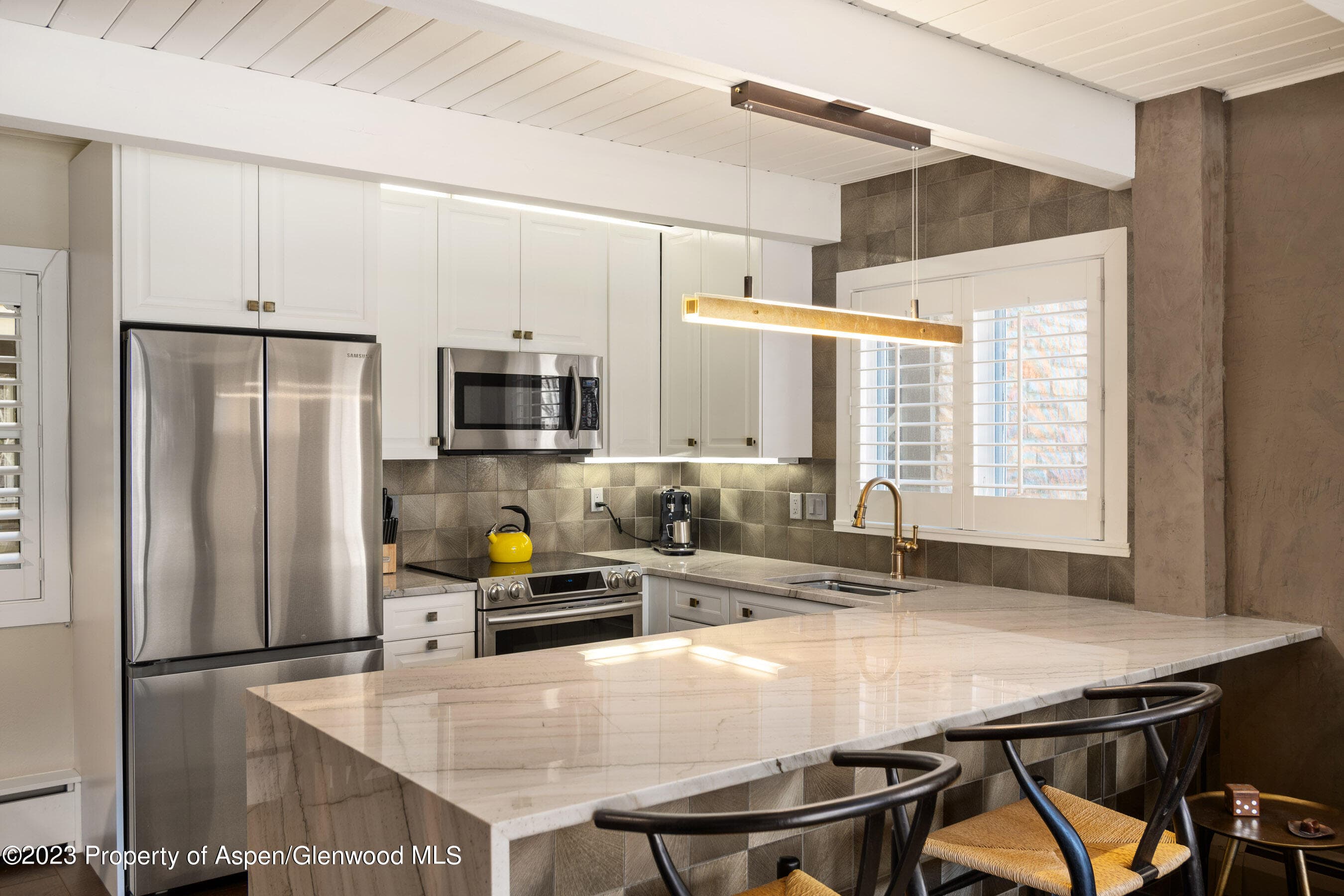 825 E Hopkins Avenue Unit 2N, Aspen, CO 81611 - Photo 11