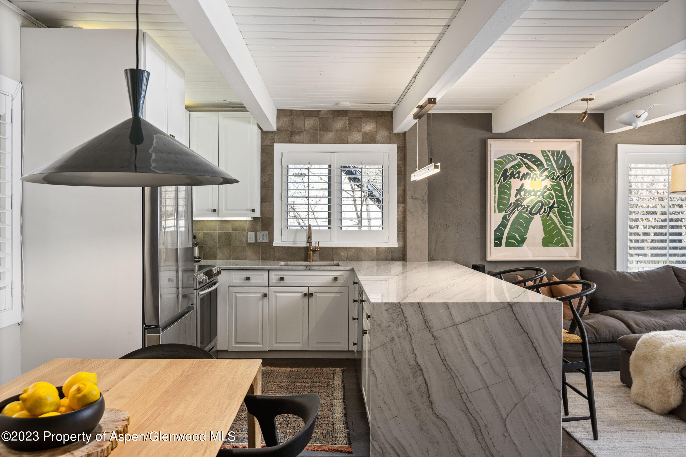 825 E Hopkins Avenue Unit 2N, Aspen, CO 81611 - Photo 12