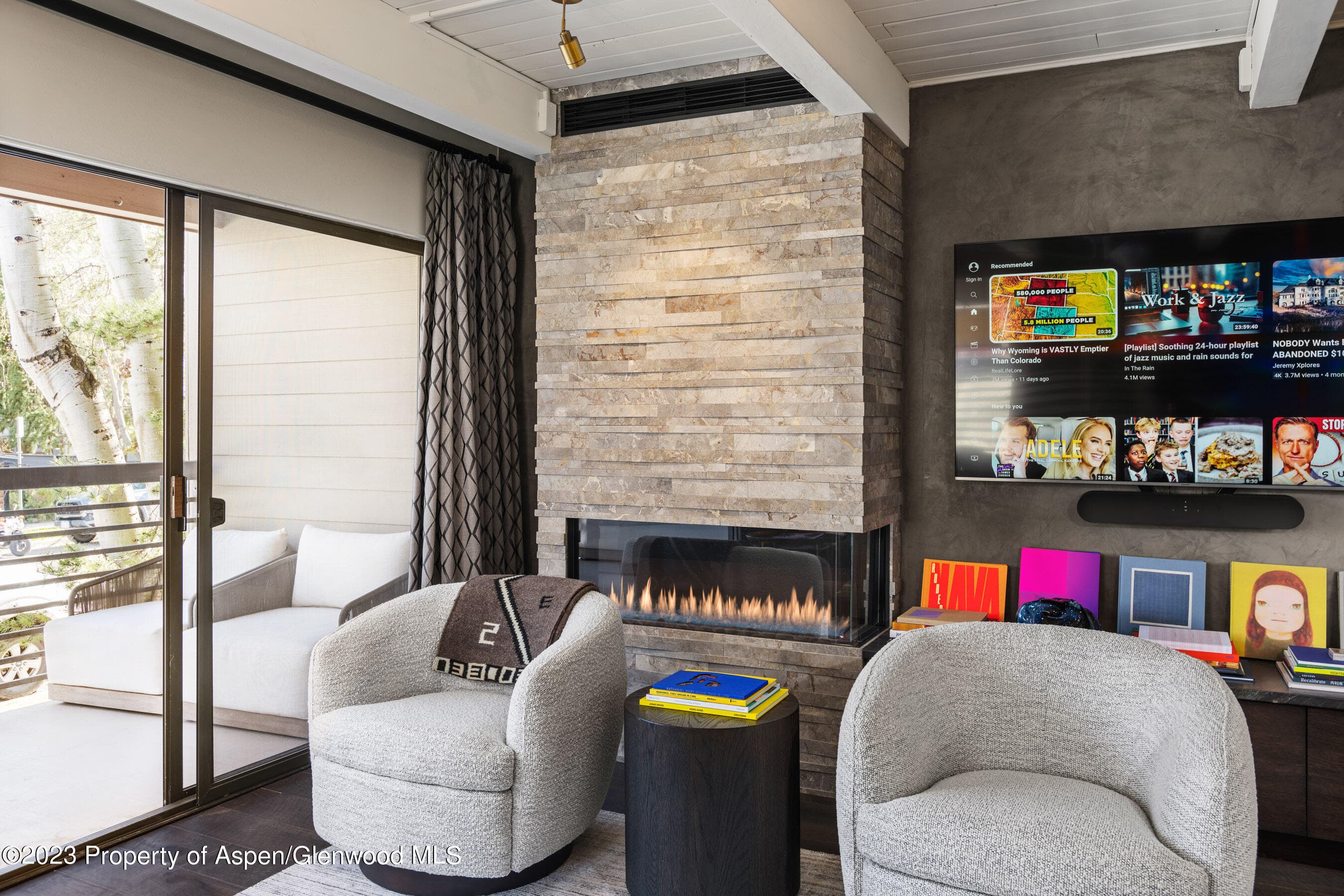825 E Hopkins Avenue Unit 2N, Aspen, CO 81611 - Photo 3