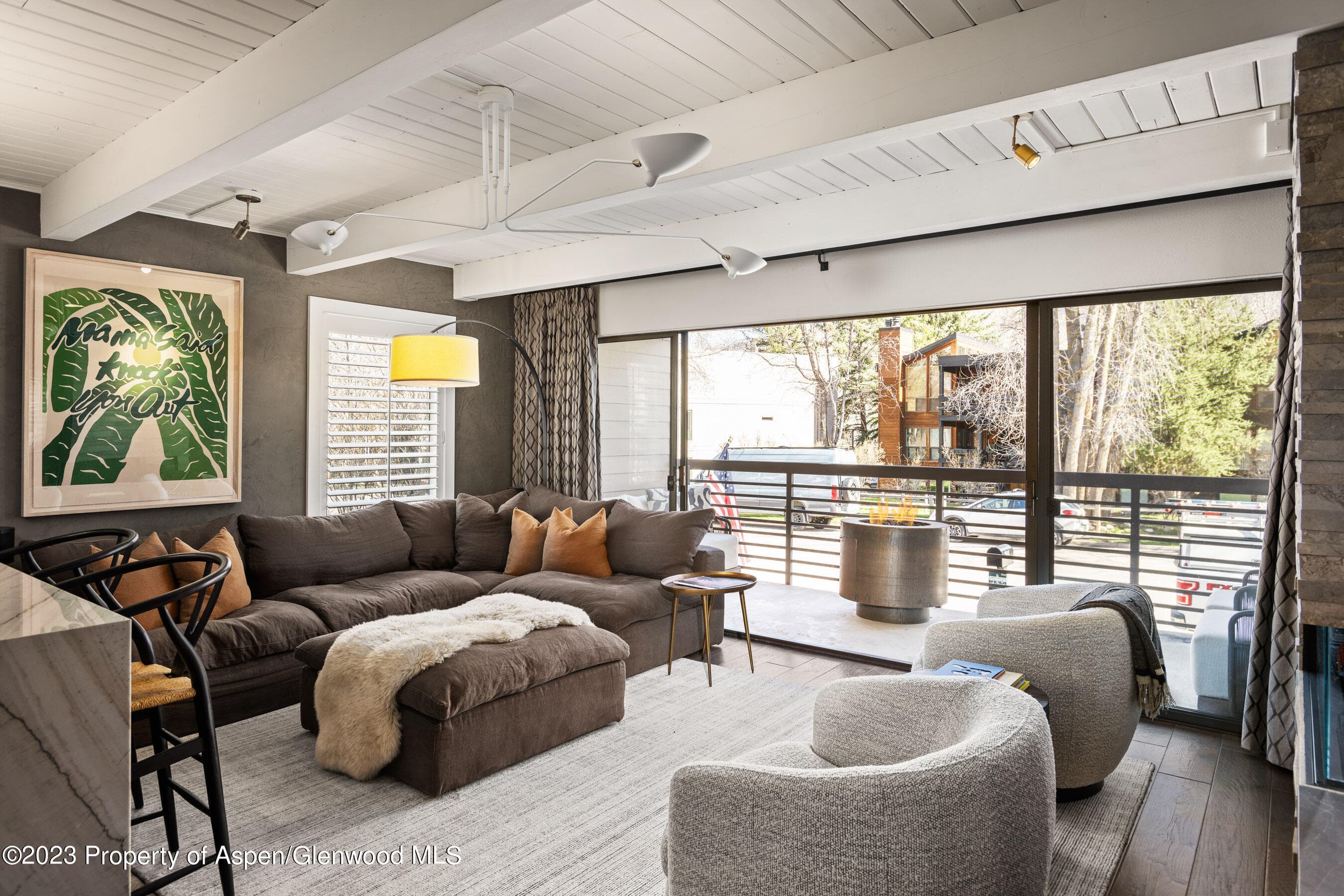 825 E Hopkins Avenue Unit 2N, Aspen, CO 81611 - Photo 6