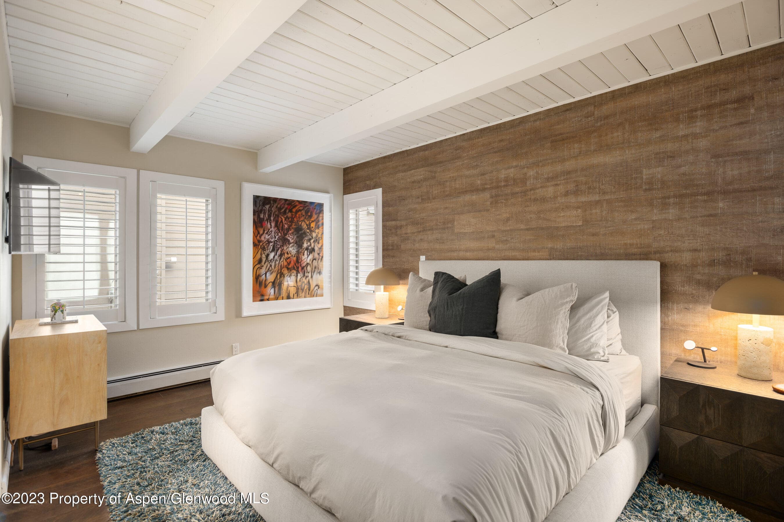 825 E Hopkins Avenue Unit 2N, Aspen, CO 81611 - Photo 15