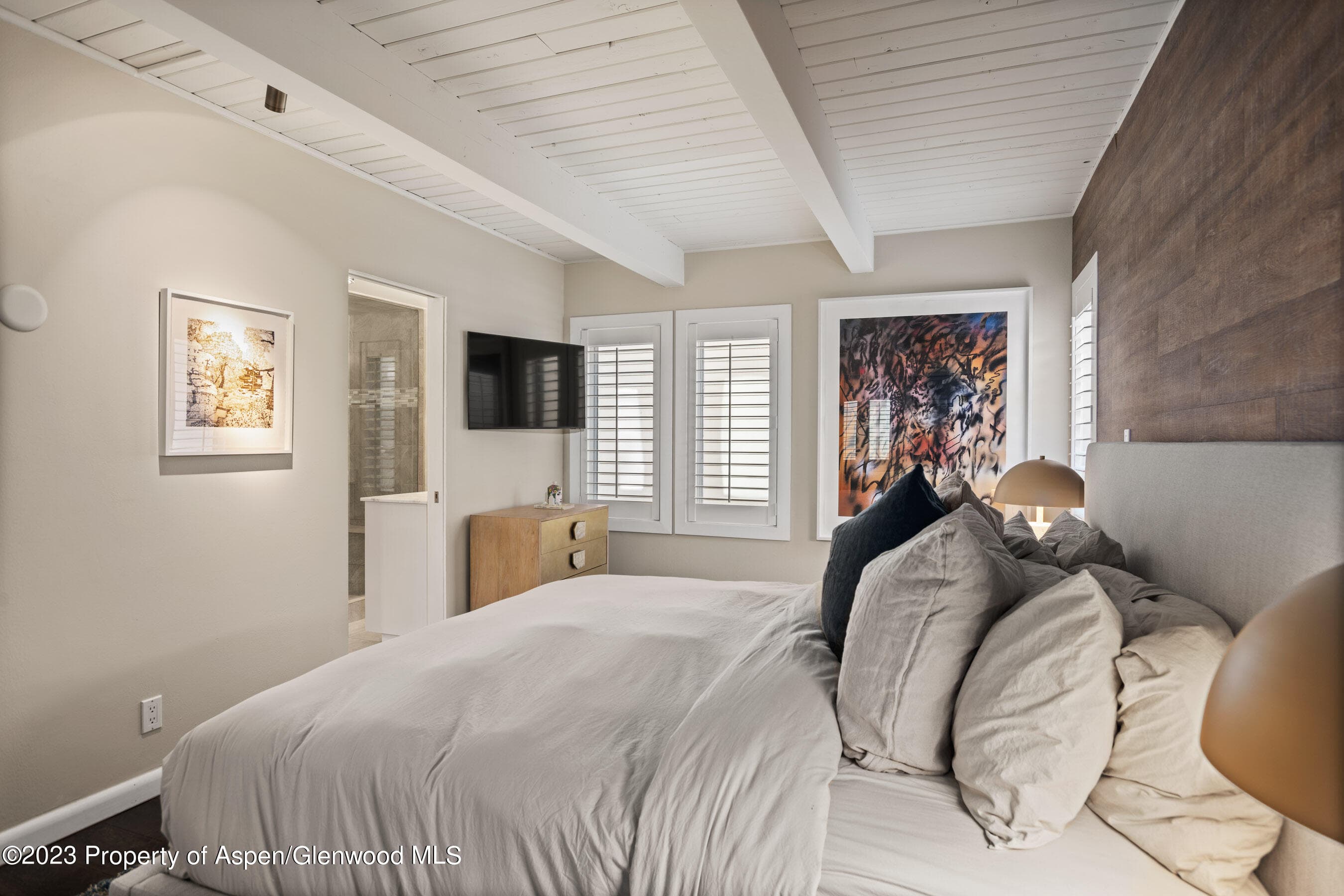 825 E Hopkins Avenue Unit 2N, Aspen, CO 81611 - Photo 16