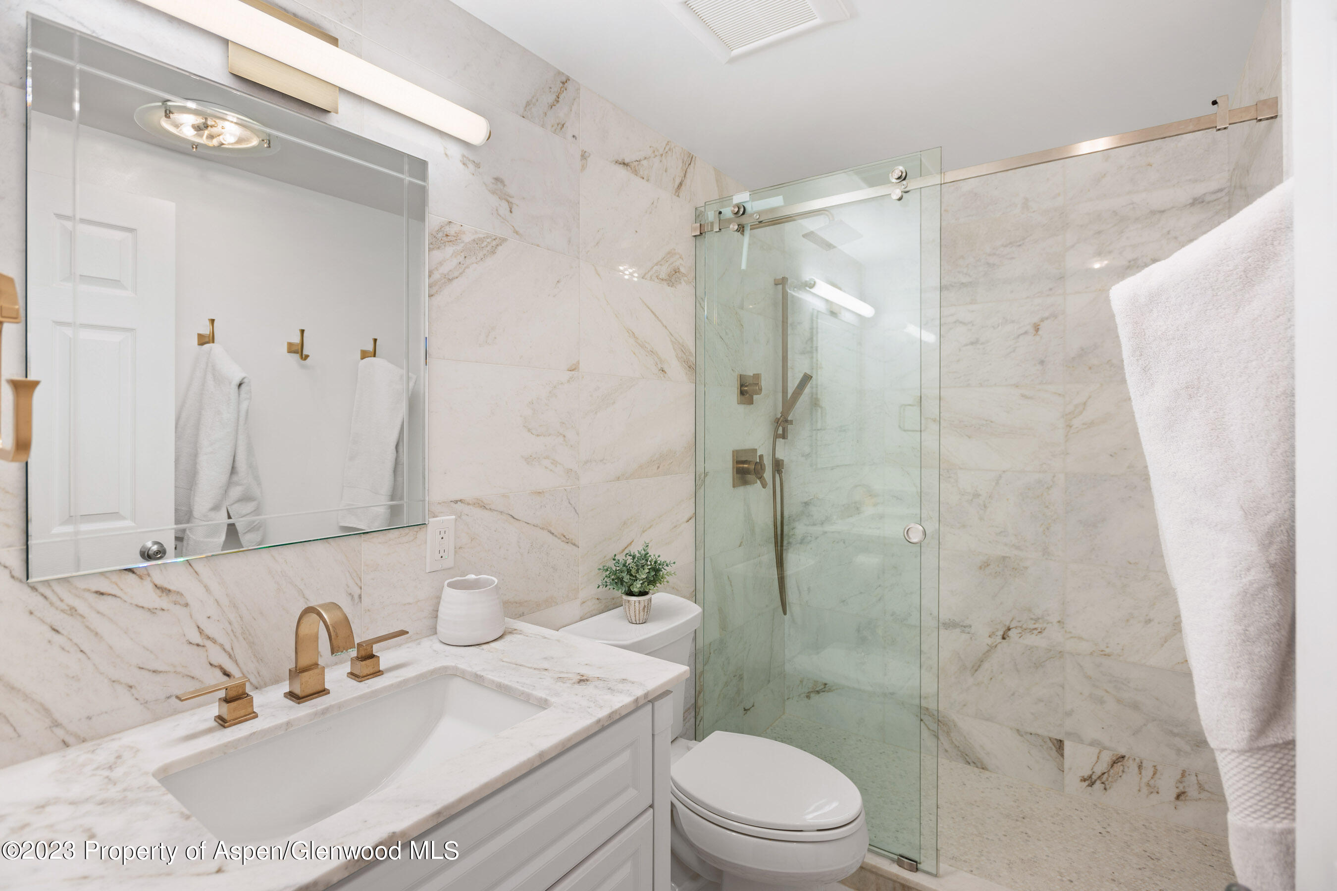 825 E Hopkins Avenue Unit 2N, Aspen, CO 81611 - Photo 20