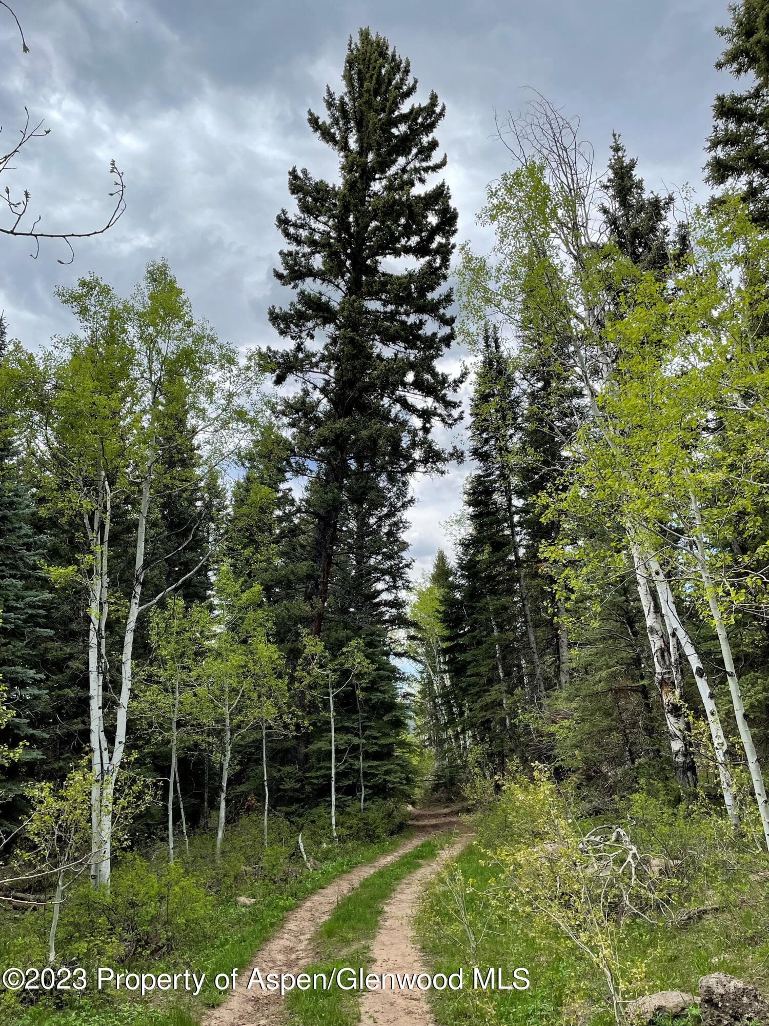 TBD Black Diamond Mine Road, Glenwood Springs, CO 81601 - Photo 10