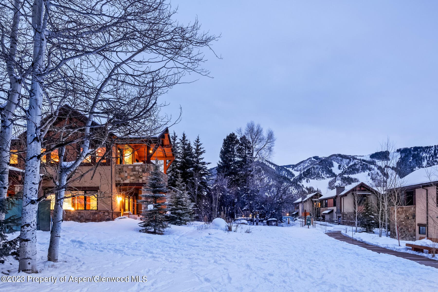537 Race Street, Aspen, CO 81611 - Photo 9