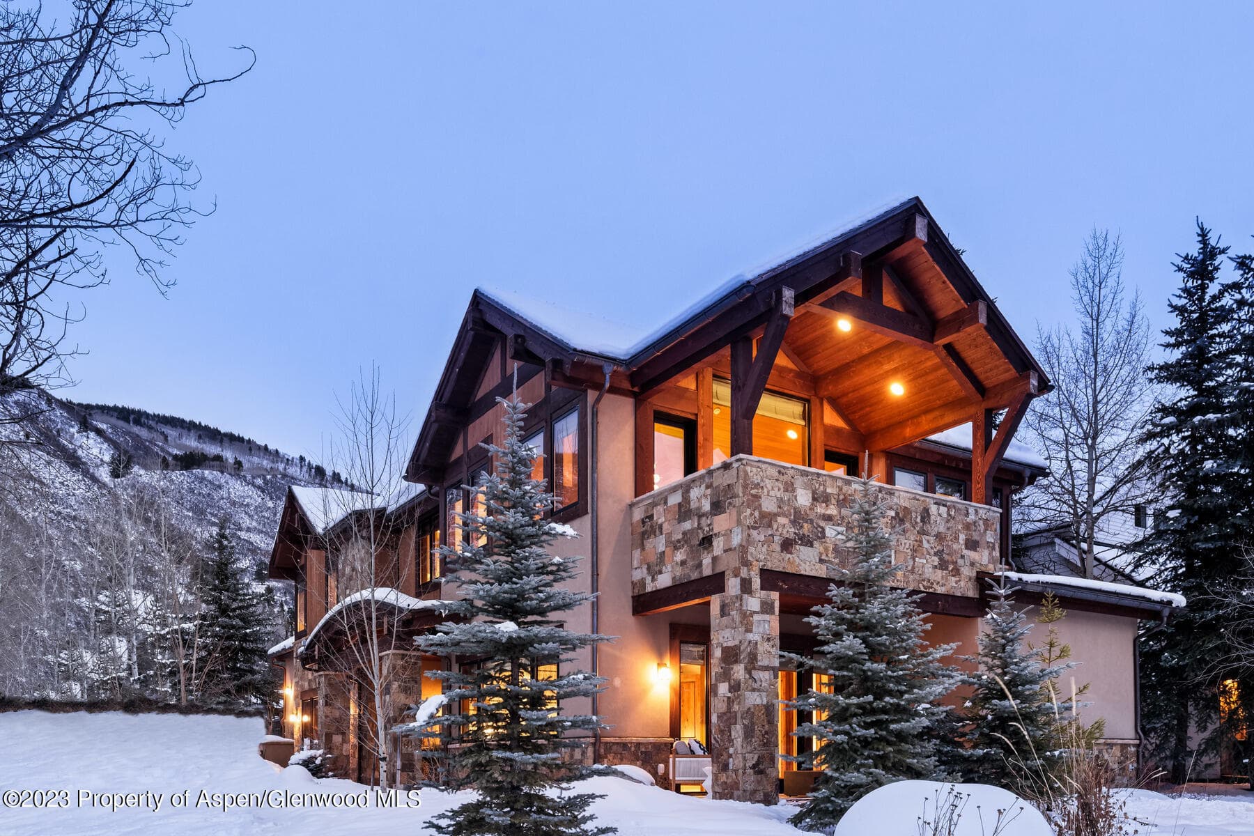 537 Race Street, Aspen, CO 81611 - Photo 10