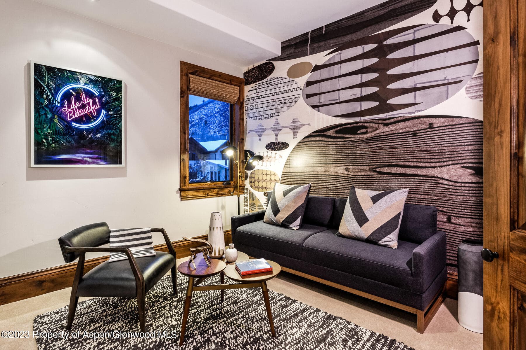 537 Race Street, Aspen, CO 81611 - Photo 14