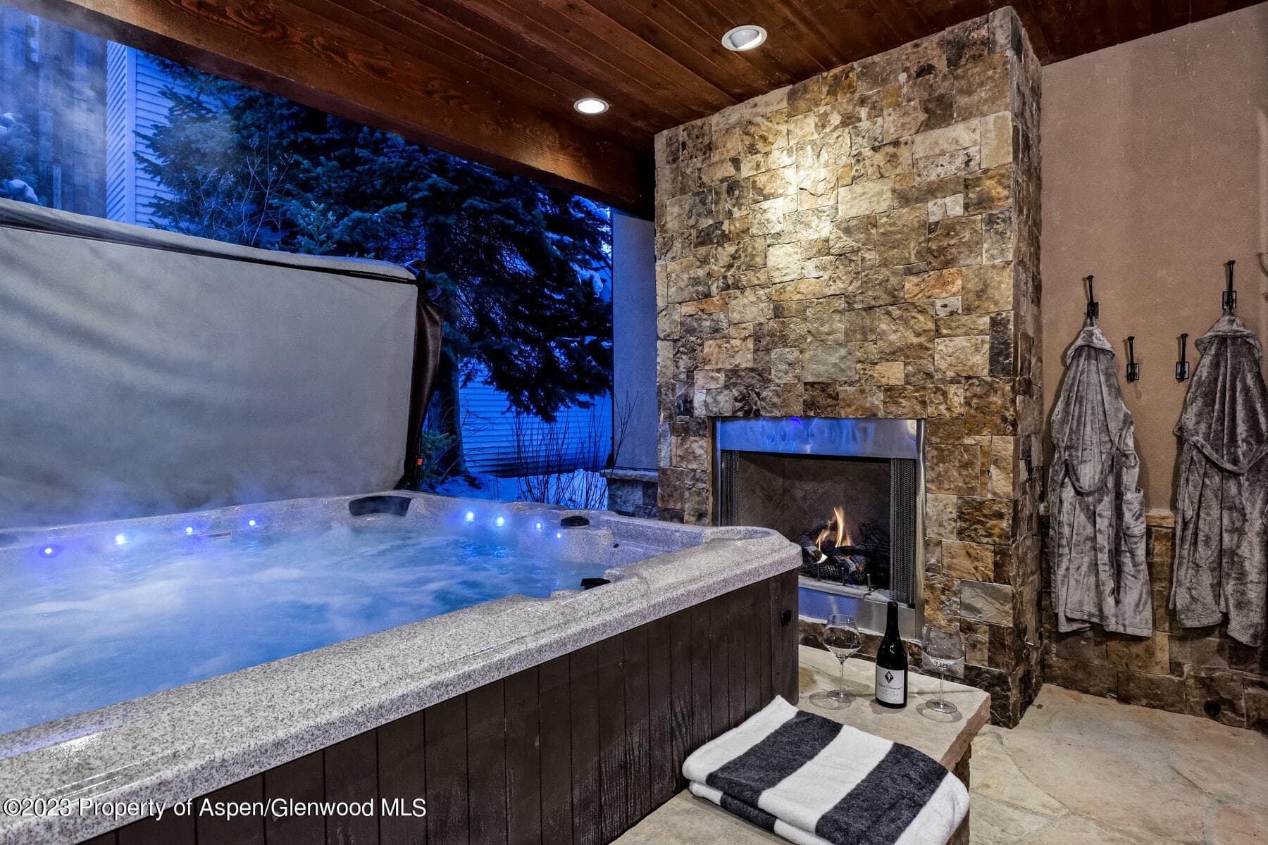 537 Race Street, Aspen, CO 81611 - Photo 8